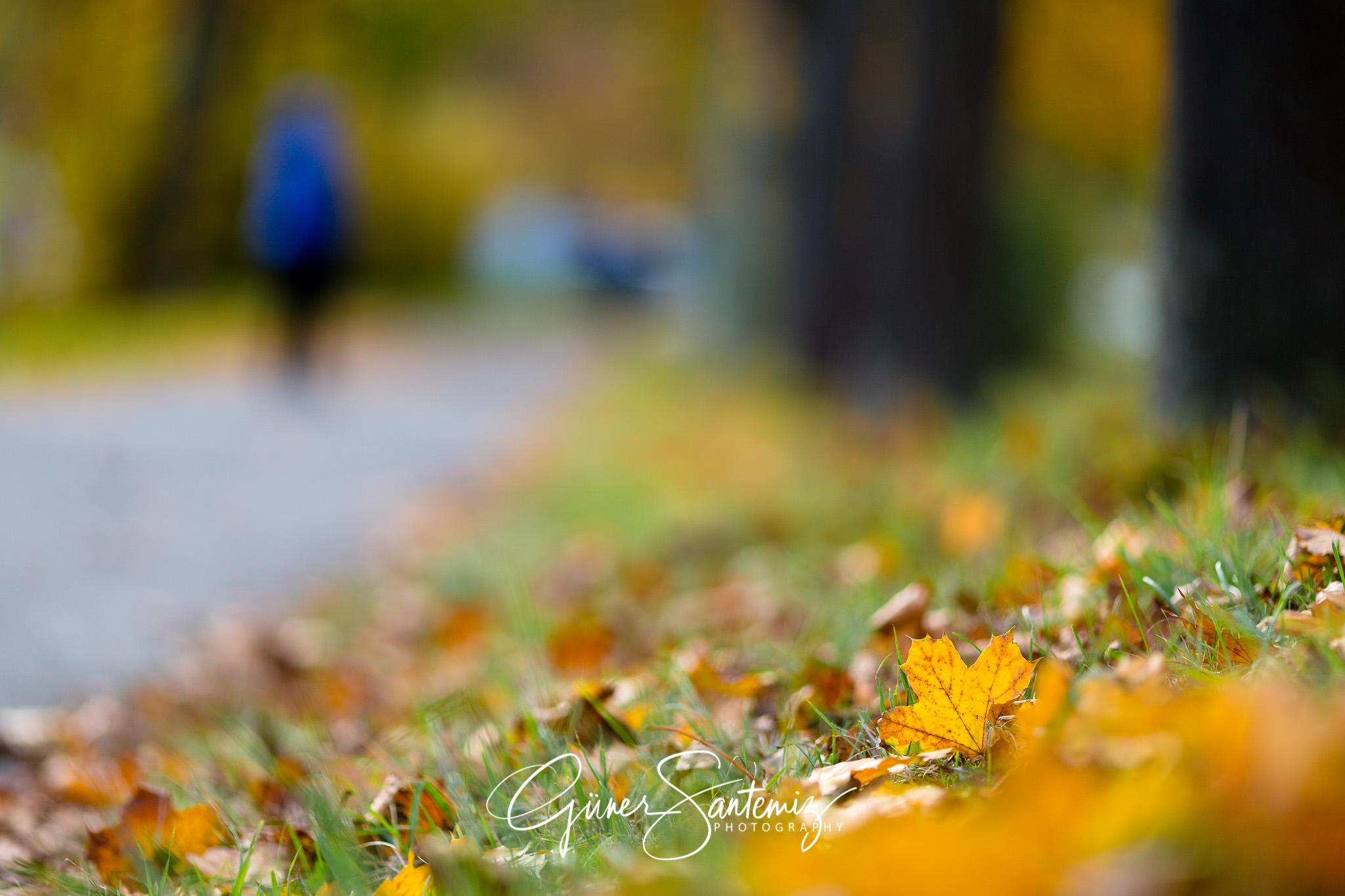 Herbsttag in Franken