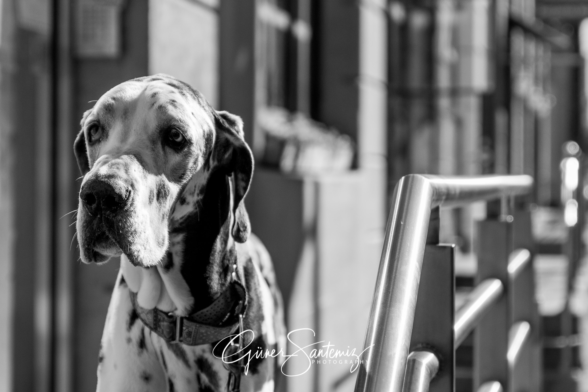 New York in a different angle