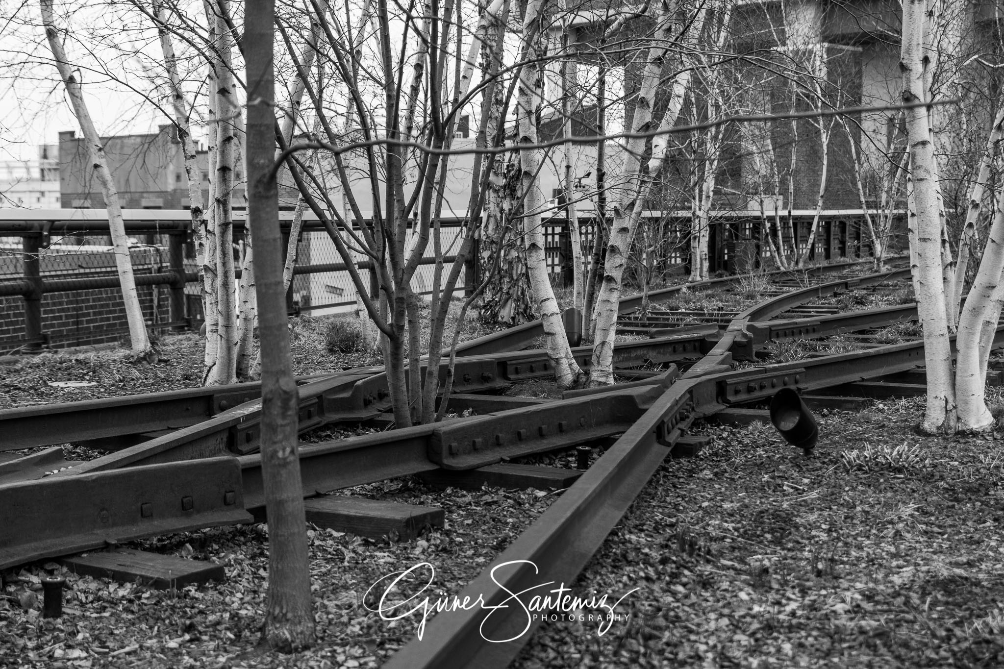 New York in a different angle