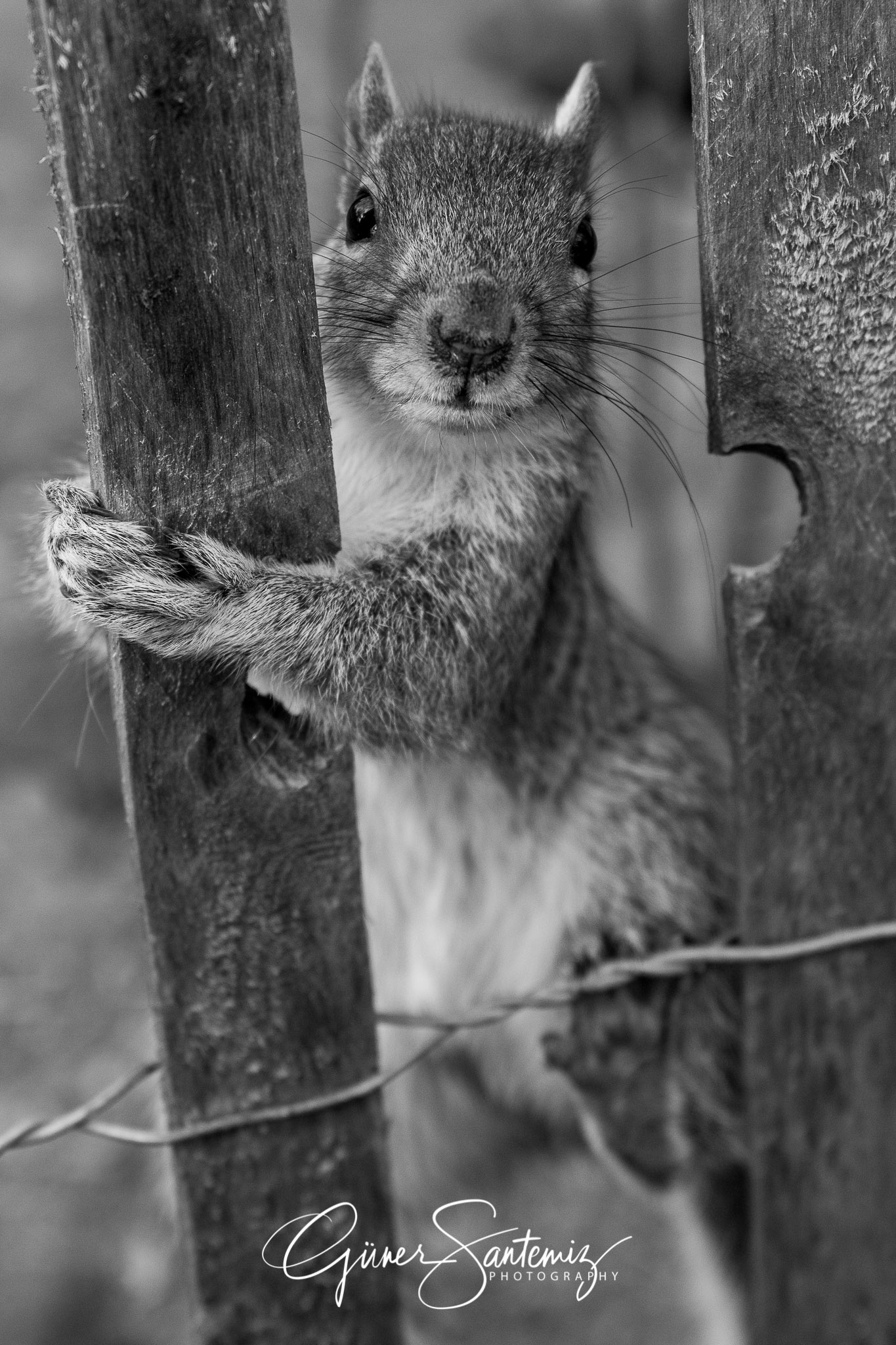 New York in a different angle