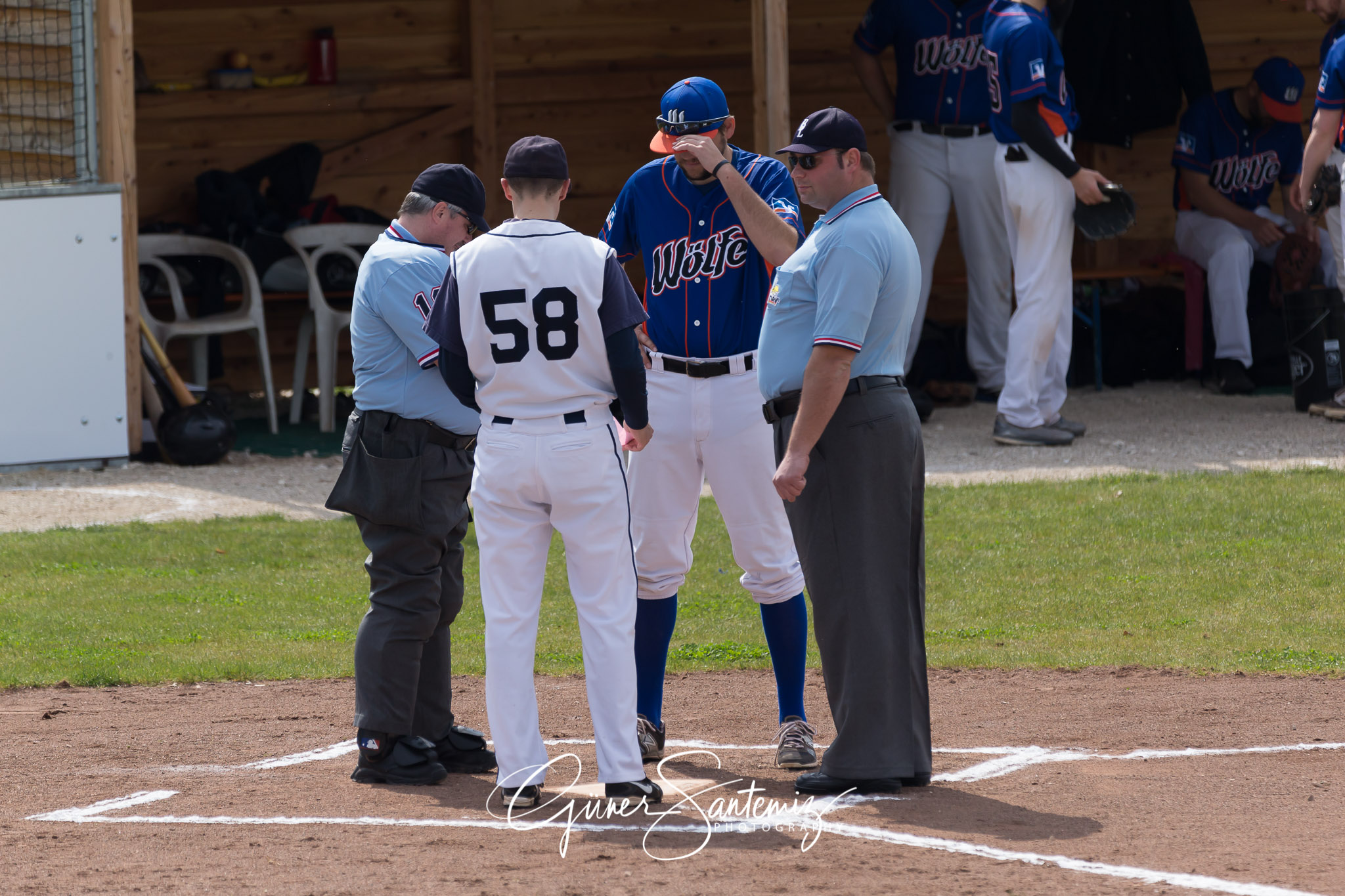Baseball - Laufer Wölfe - Ingolstadt Schanzer