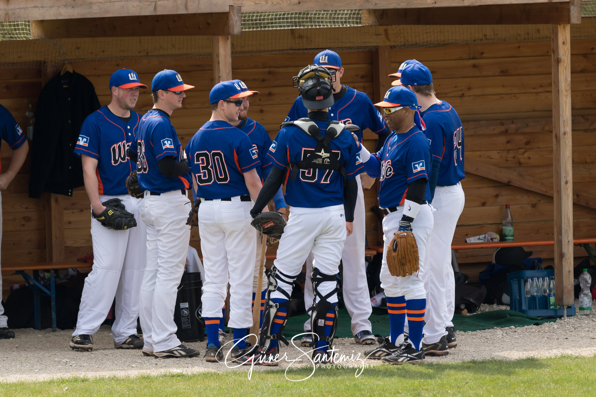Baseball - Laufer Wölfe - Ingolstadt Schanzer