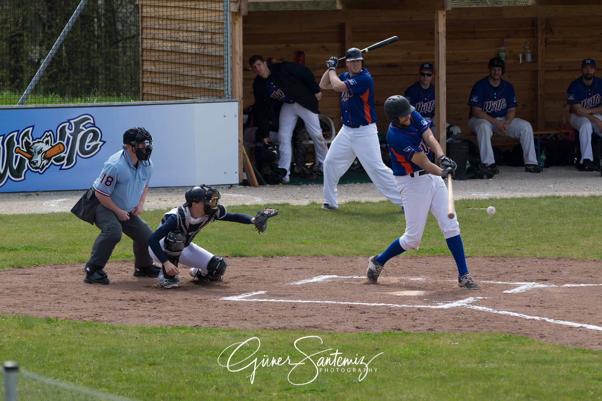 Baseball - Laufer Wölfe - Ingolstadt Schanzer