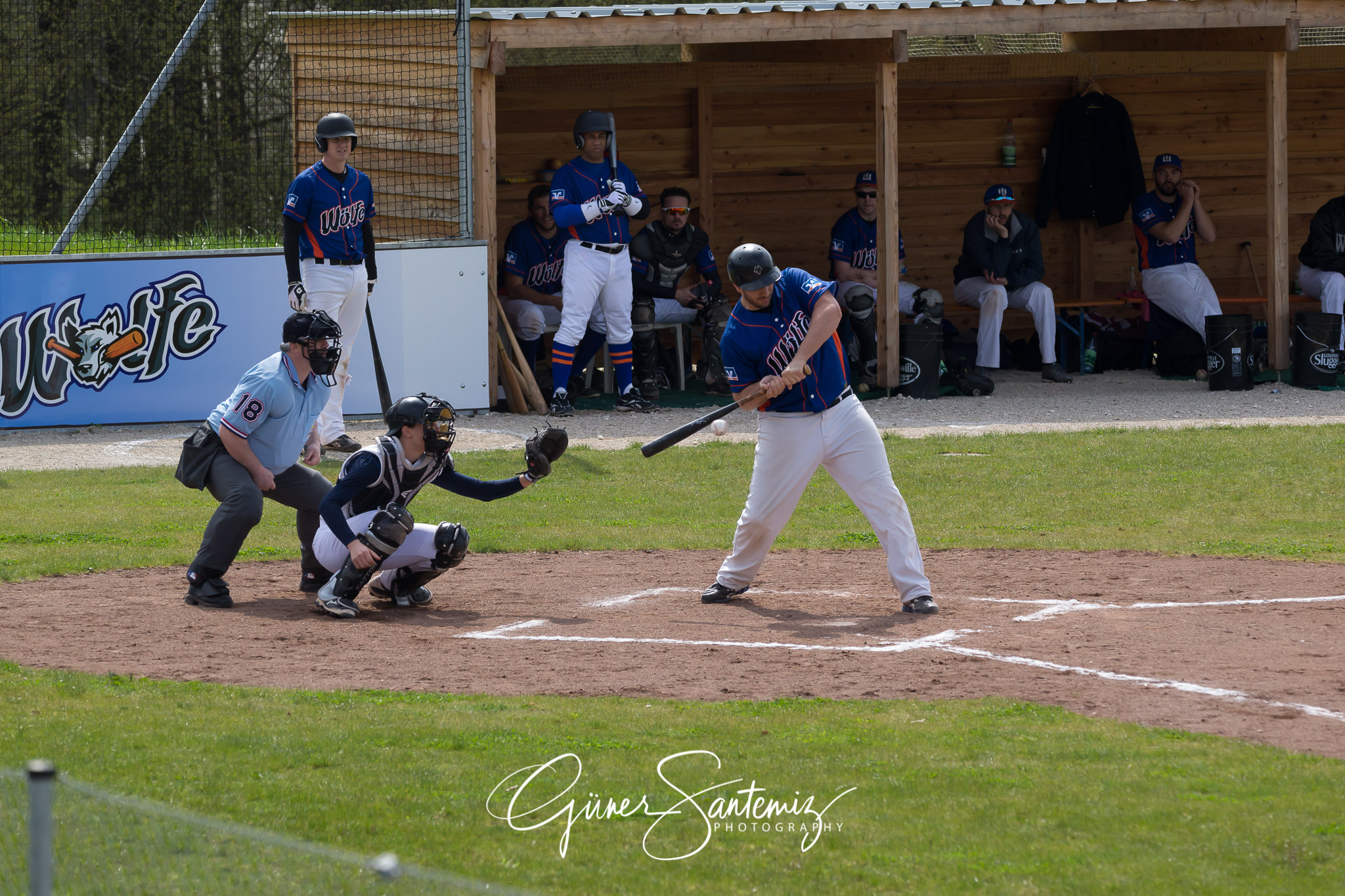 Baseball - Laufer Wölfe - Ingolstadt Schanzer