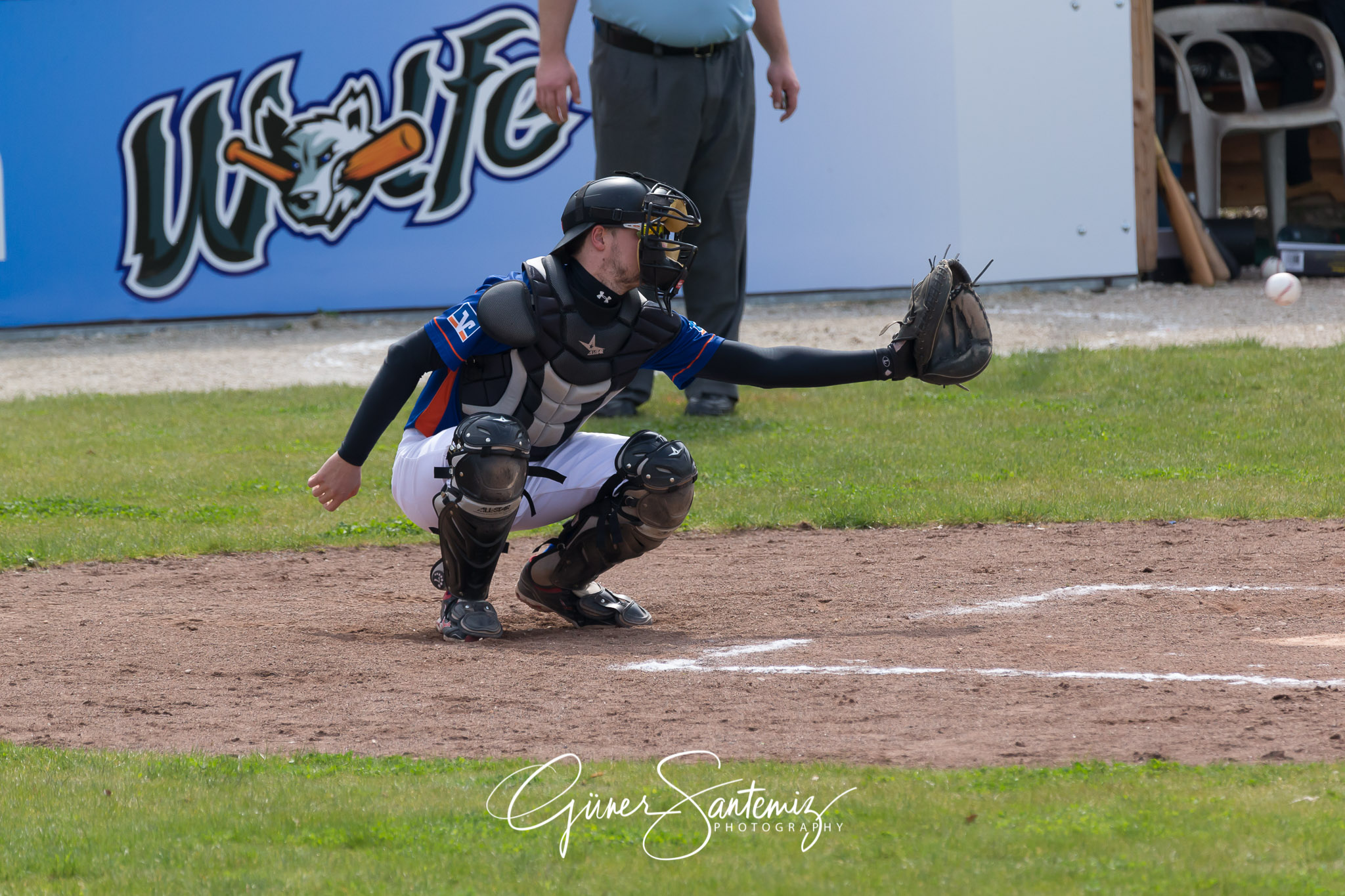 Baseball - Laufer Wölfe - Ingolstadt Schanzer