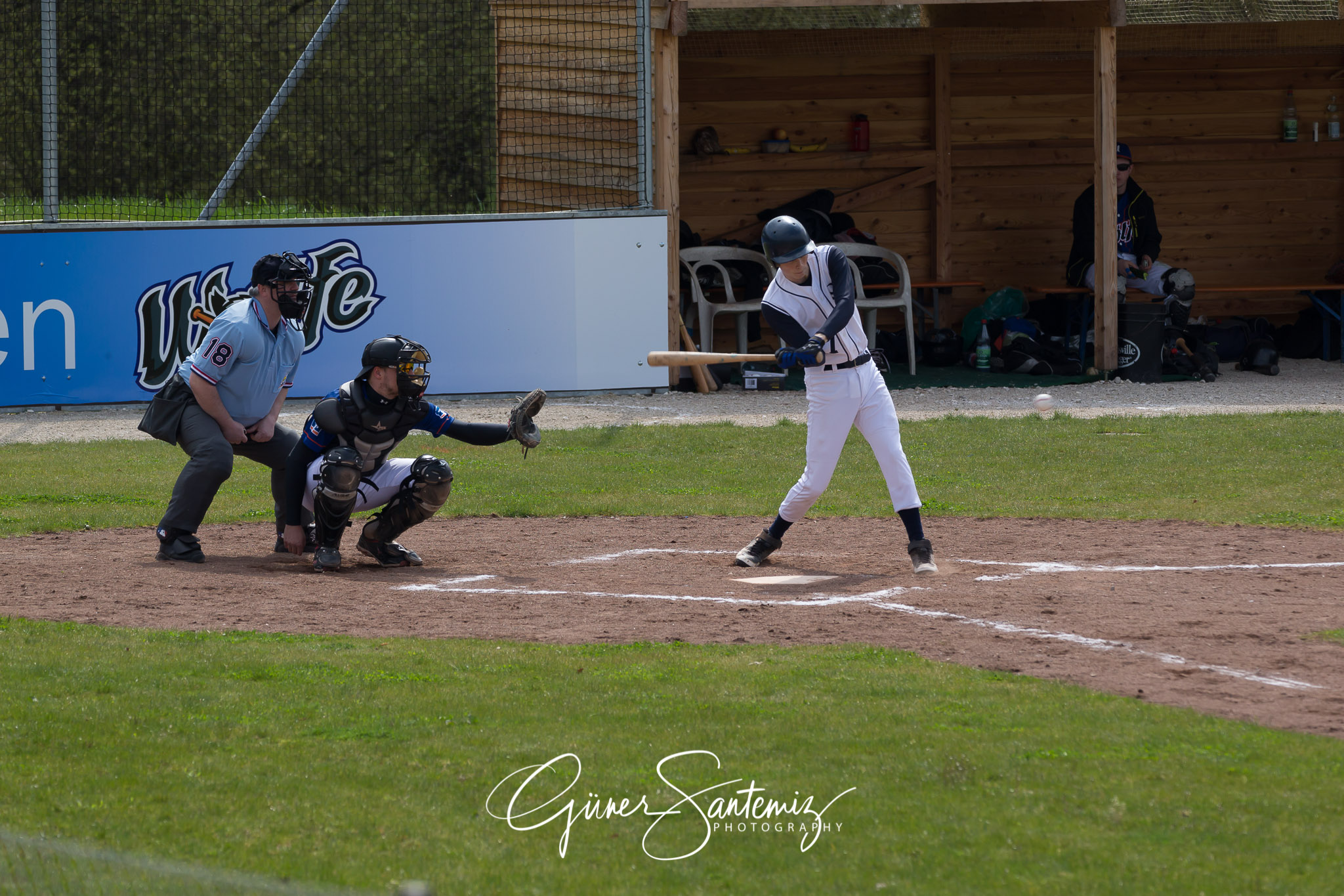 Baseball - Laufer Wölfe - Ingolstadt Schanzer