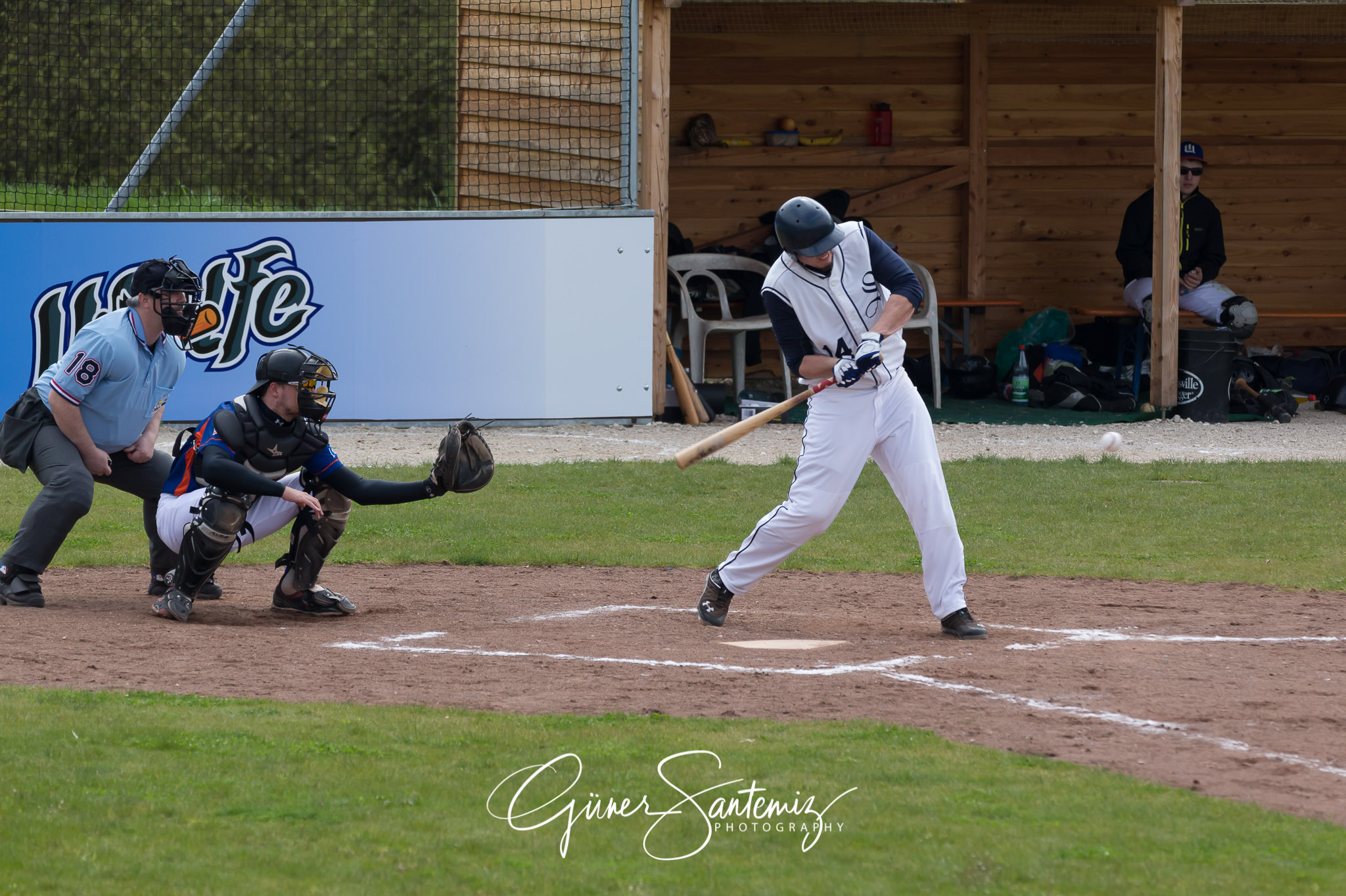 Baseball - Laufer Wölfe - Ingolstadt Schanzer
