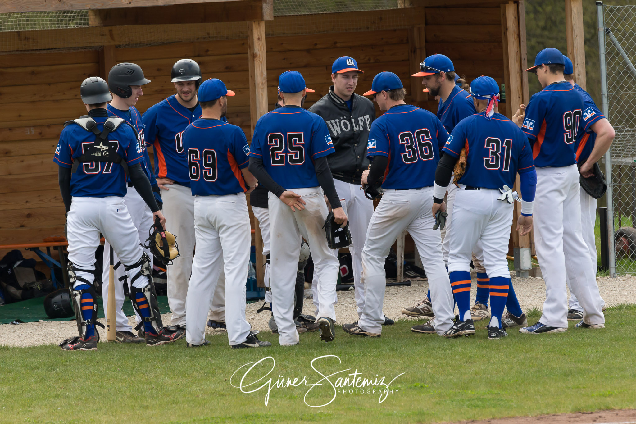 Baseball - Laufer Wölfe - Ingolstadt Schanzer