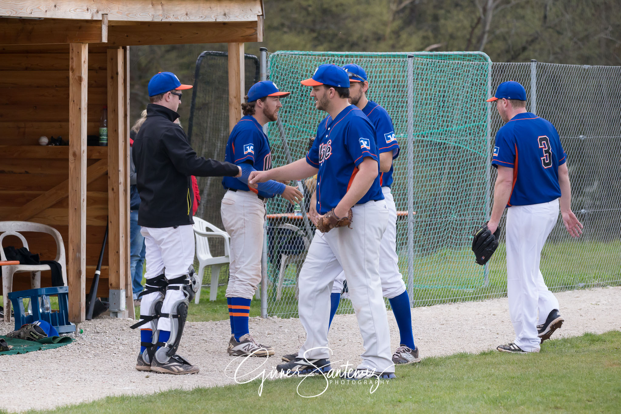 Baseball - Laufer Wölfe - Ingolstadt Schanzer