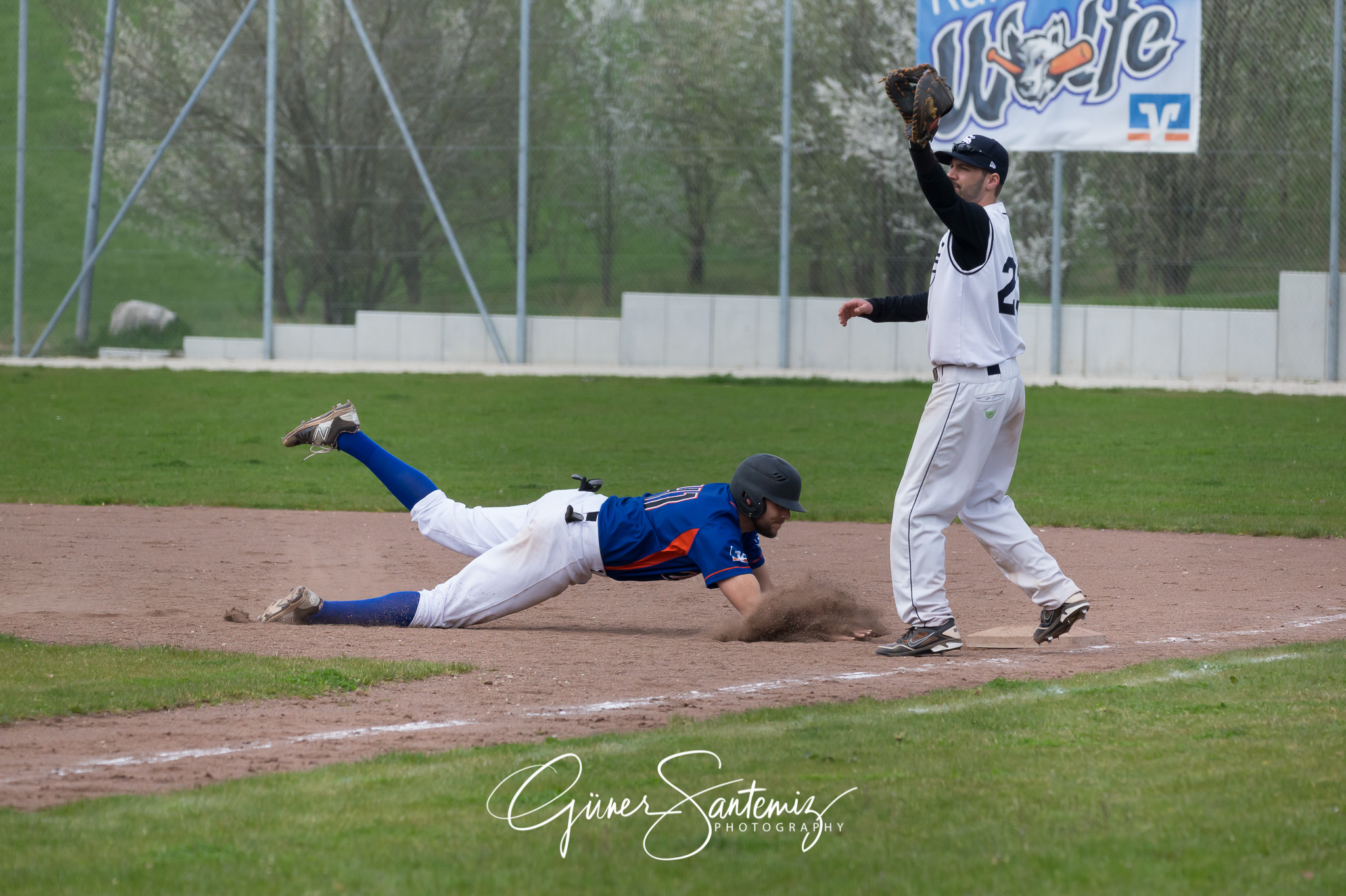 Baseball - Laufer Wölfe - Ingolstadt Schanzer