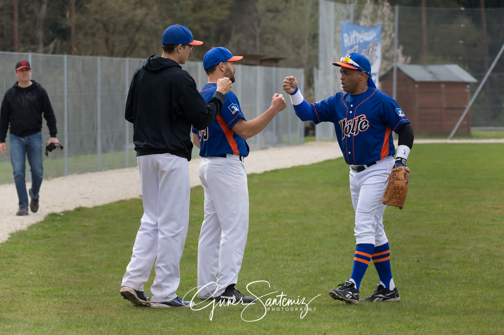 Baseball - Laufer Wölfe - Ingolstadt Schanzer