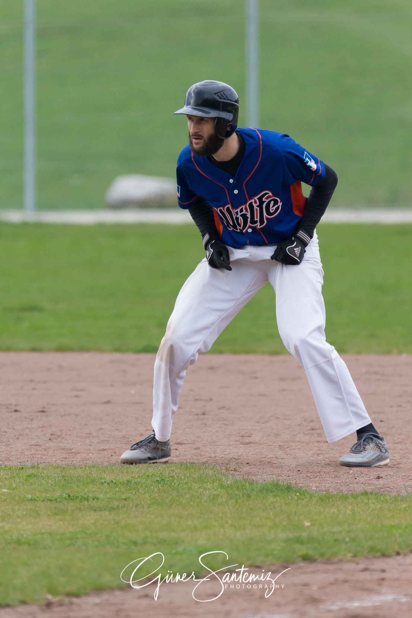 Baseball - Laufer Wölfe - Ingolstadt Schanzer