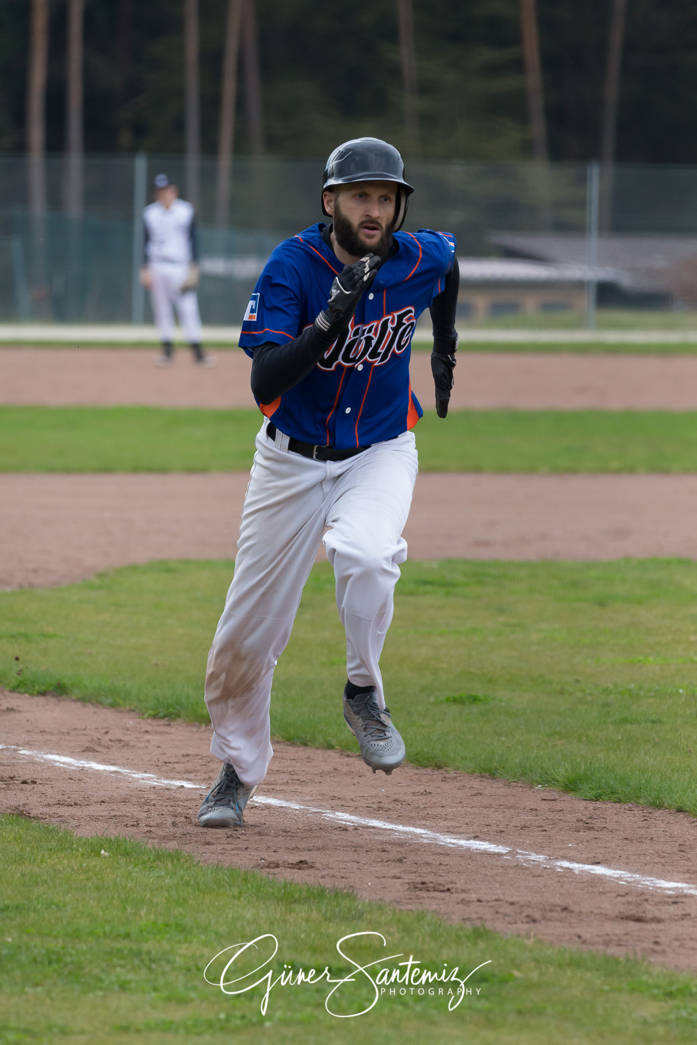Baseball - Laufer Wölfe - Ingolstadt Schanzer