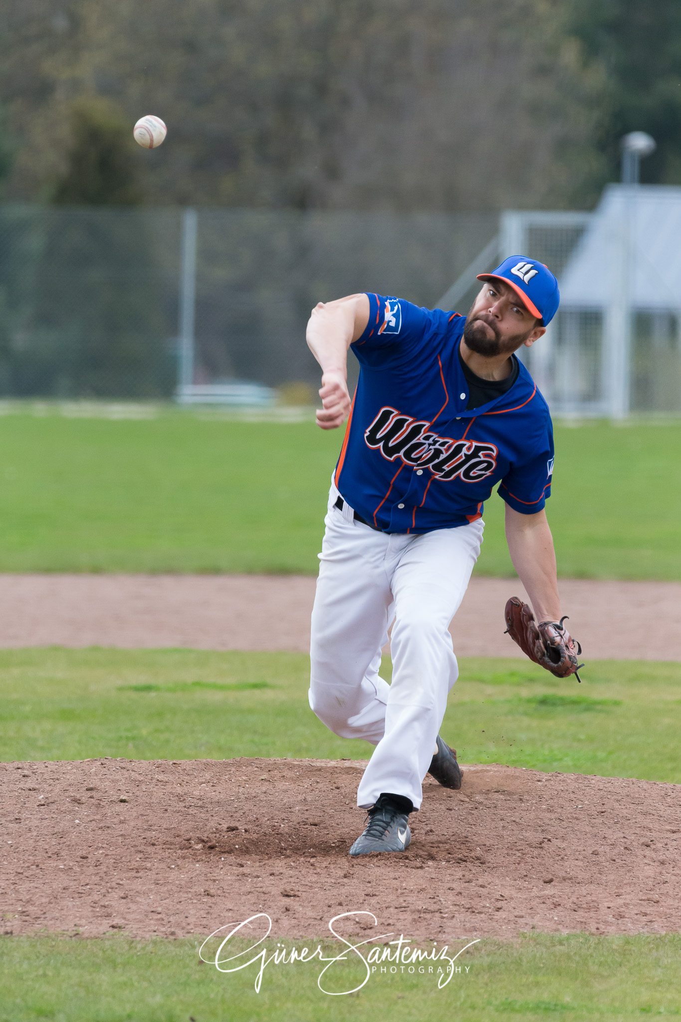 Baseball - Laufer Wölfe - Ingolstadt Schanzer