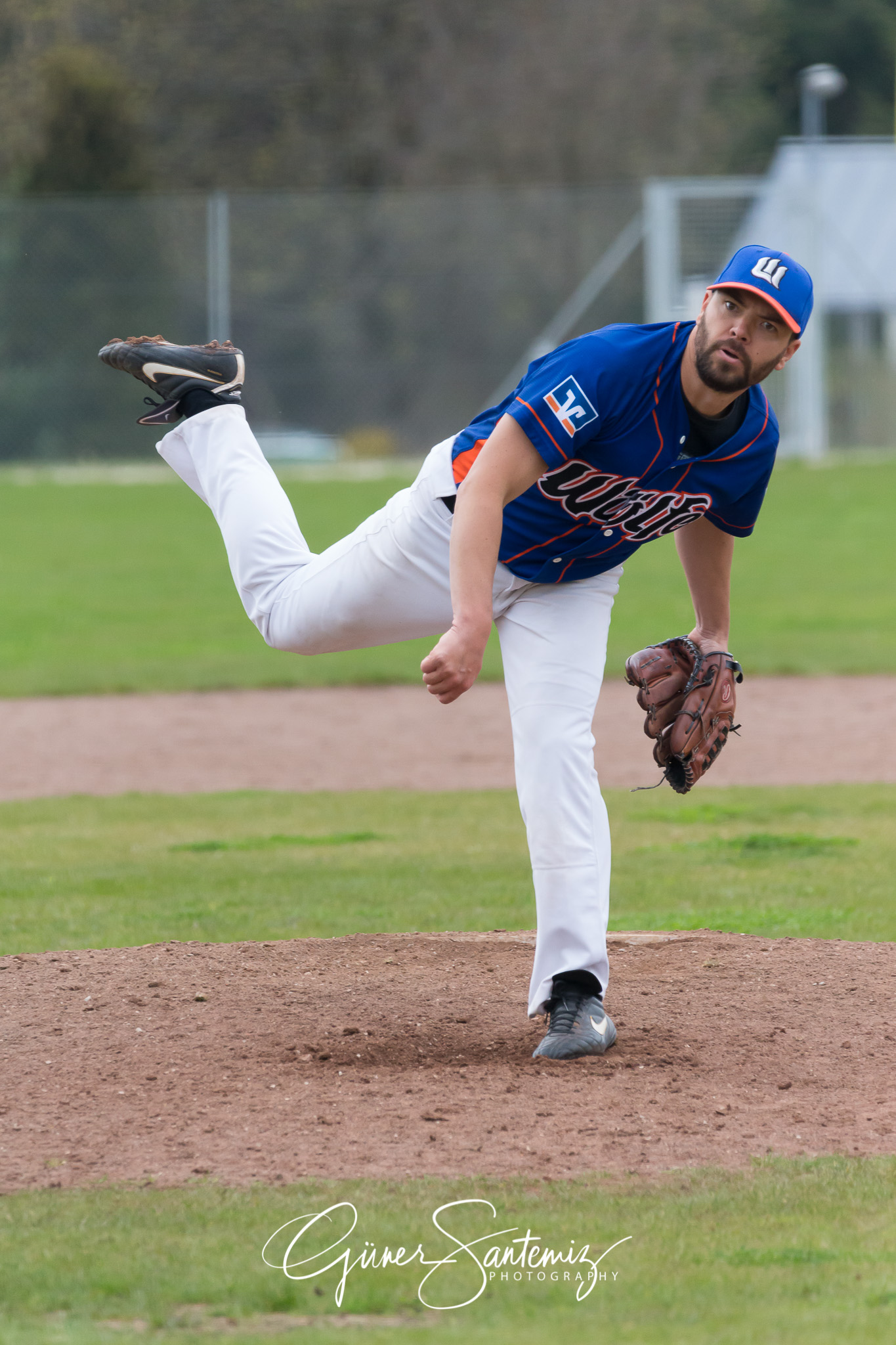 Baseball - Laufer Wölfe - Ingolstadt Schanzer