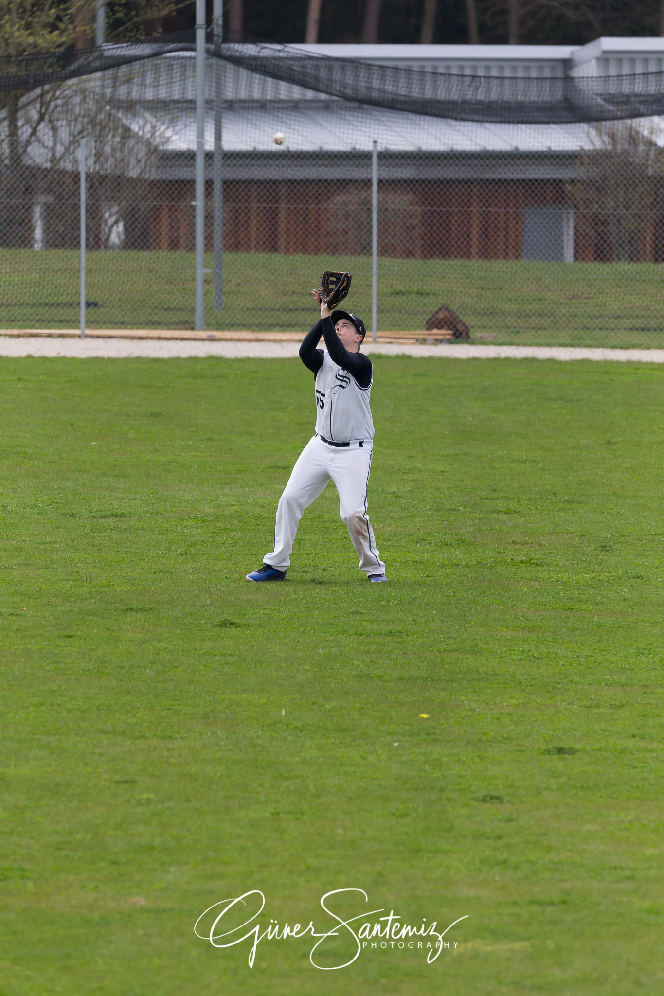 Baseball - Laufer Wölfe - Ingolstadt Schanzer