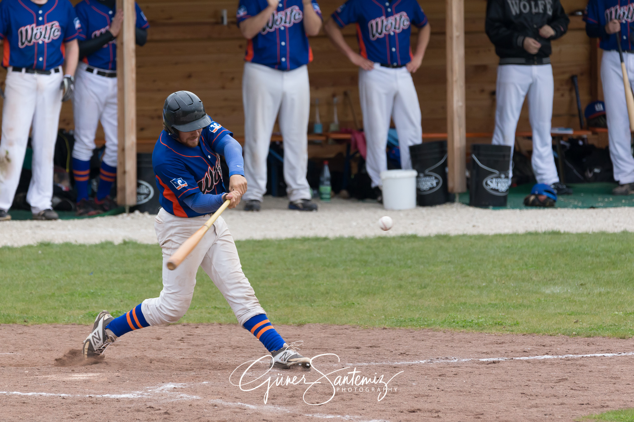 Baseball - Laufer Wölfe - Ingolstadt Schanzer
