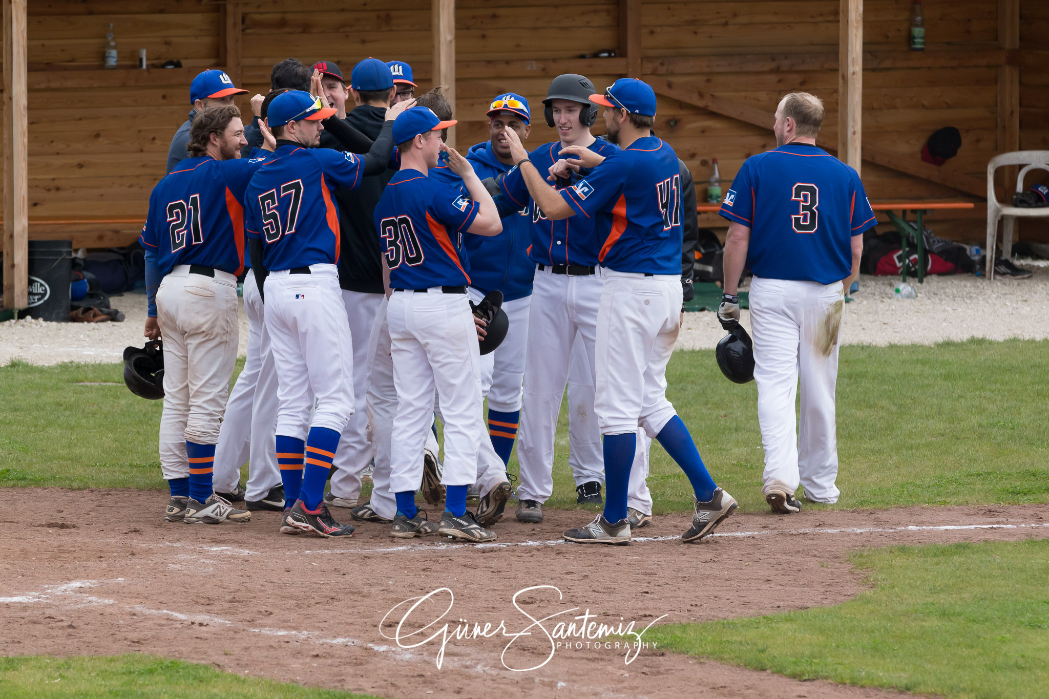 Baseball - Laufer Wölfe - Ingolstadt Schanzer