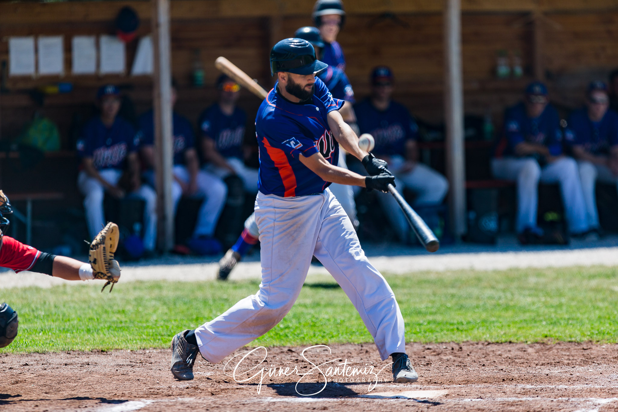 Baseball - Laufer Wölfe - Freising Grizzlies
