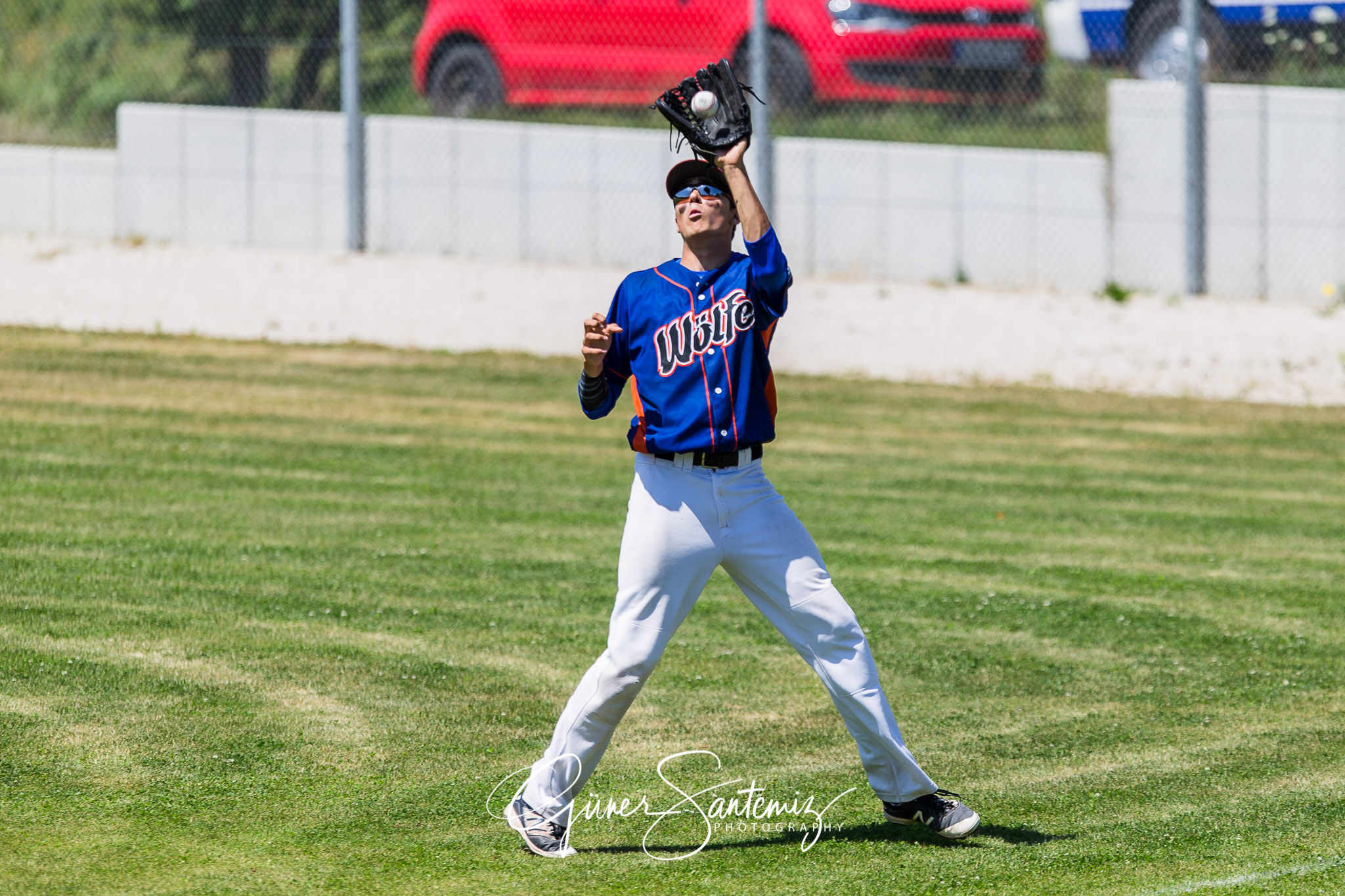 Baseball - Laufer Wölfe - Freising Grizzlies