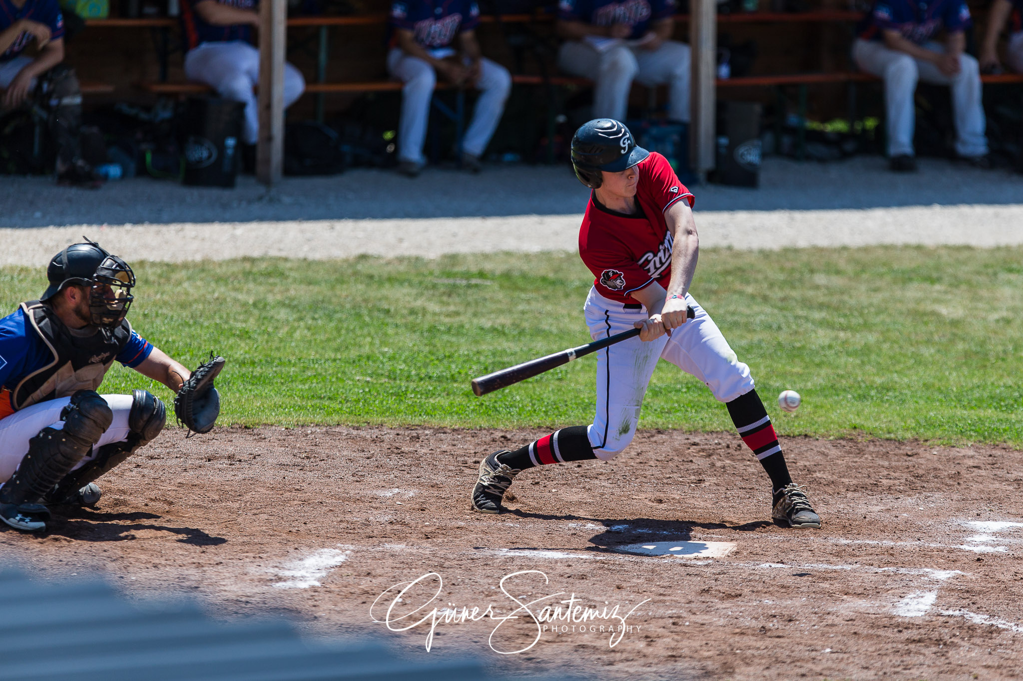 Baseball - Laufer Wölfe - Freising Grizzlies