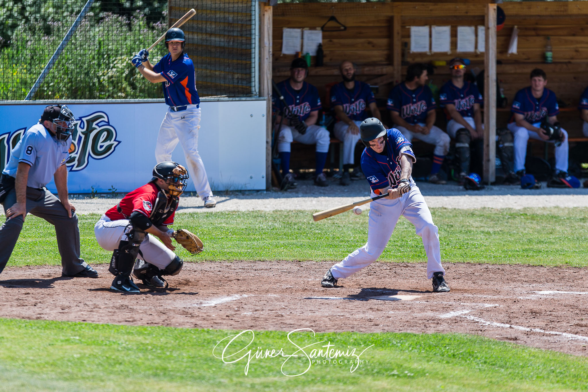 Baseball - Laufer Wölfe - Freising Grizzlies