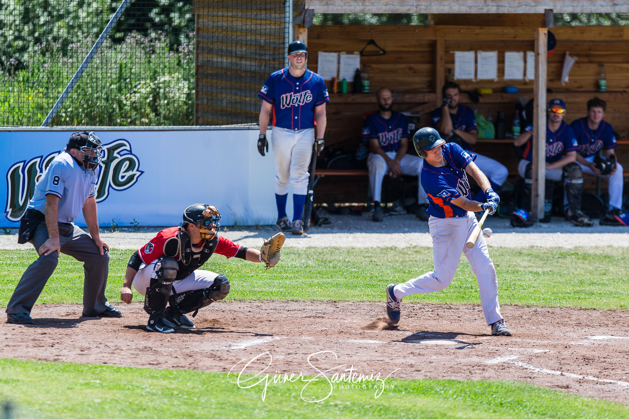 Baseball - Laufer Wölfe - Freising Grizzlies