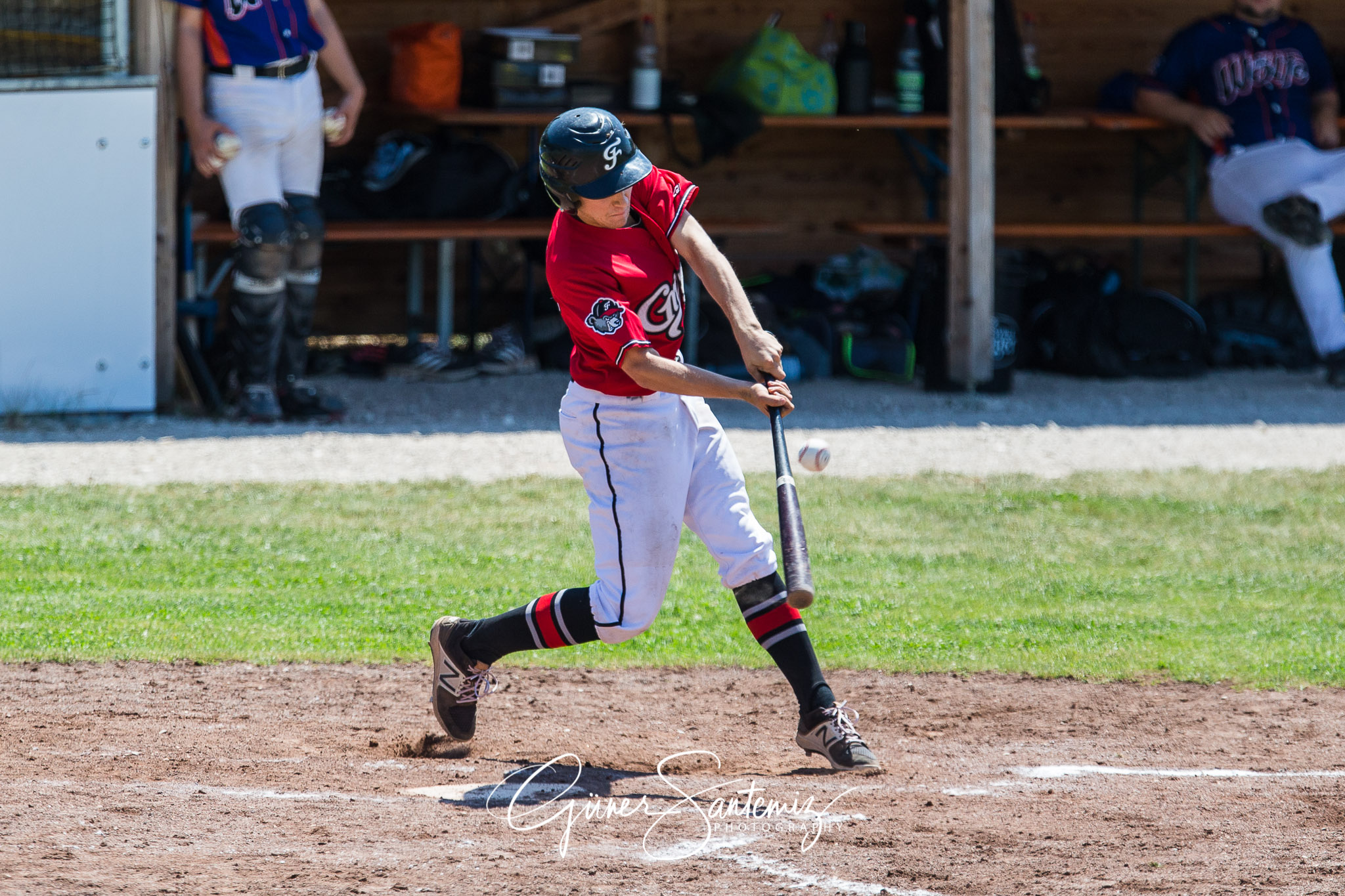 Baseball - Laufer Wölfe - Freising Grizzlies