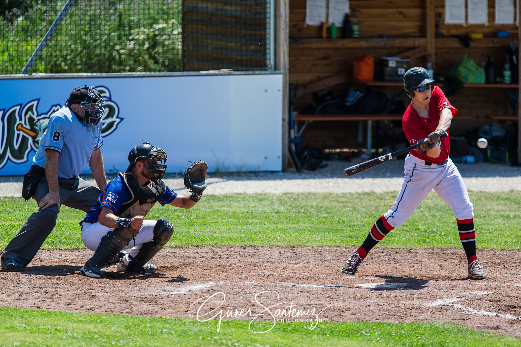 Baseball - Laufer Wölfe - Freising Grizzlies