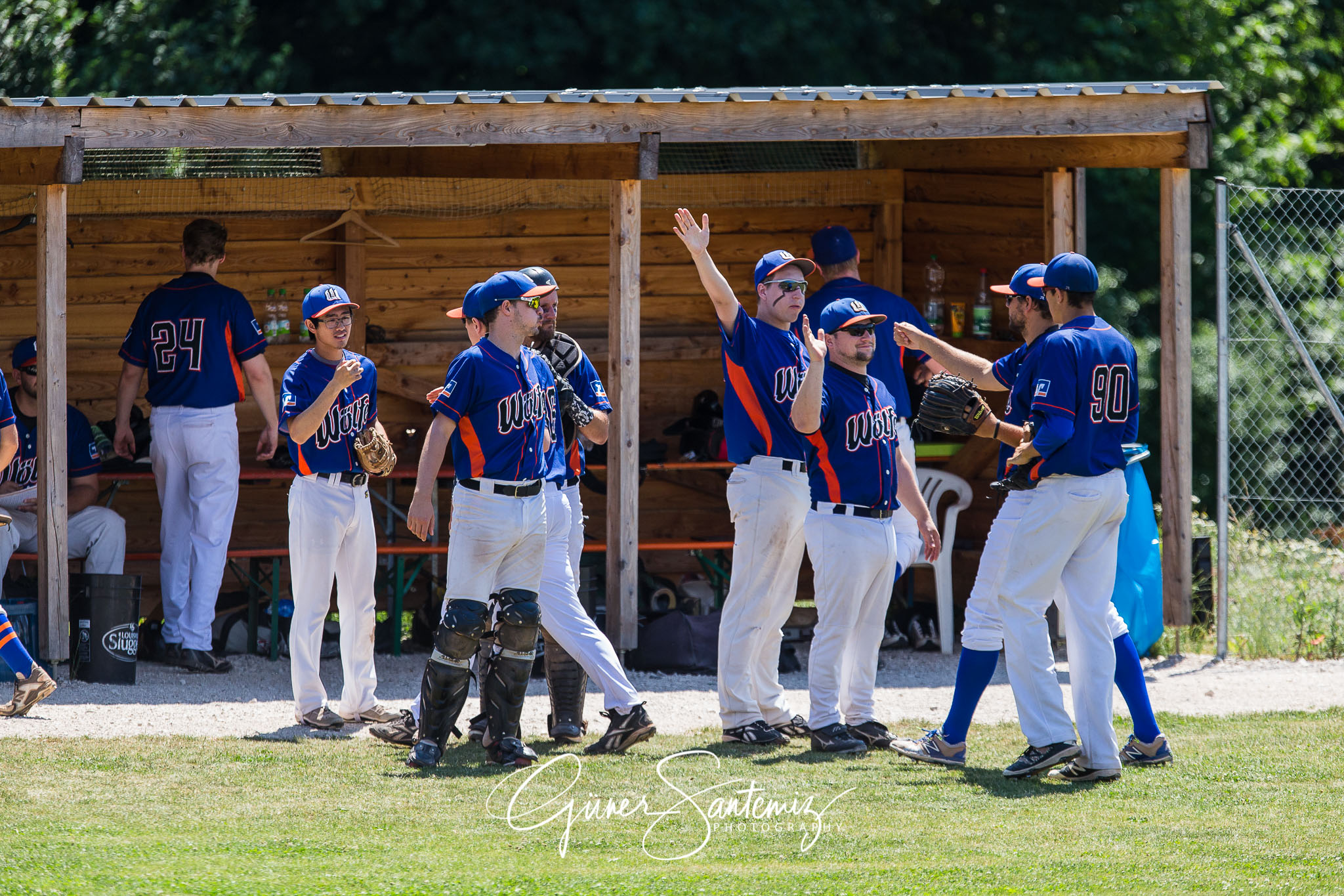 Baseball - Laufer Wölfe - Freising Grizzlies