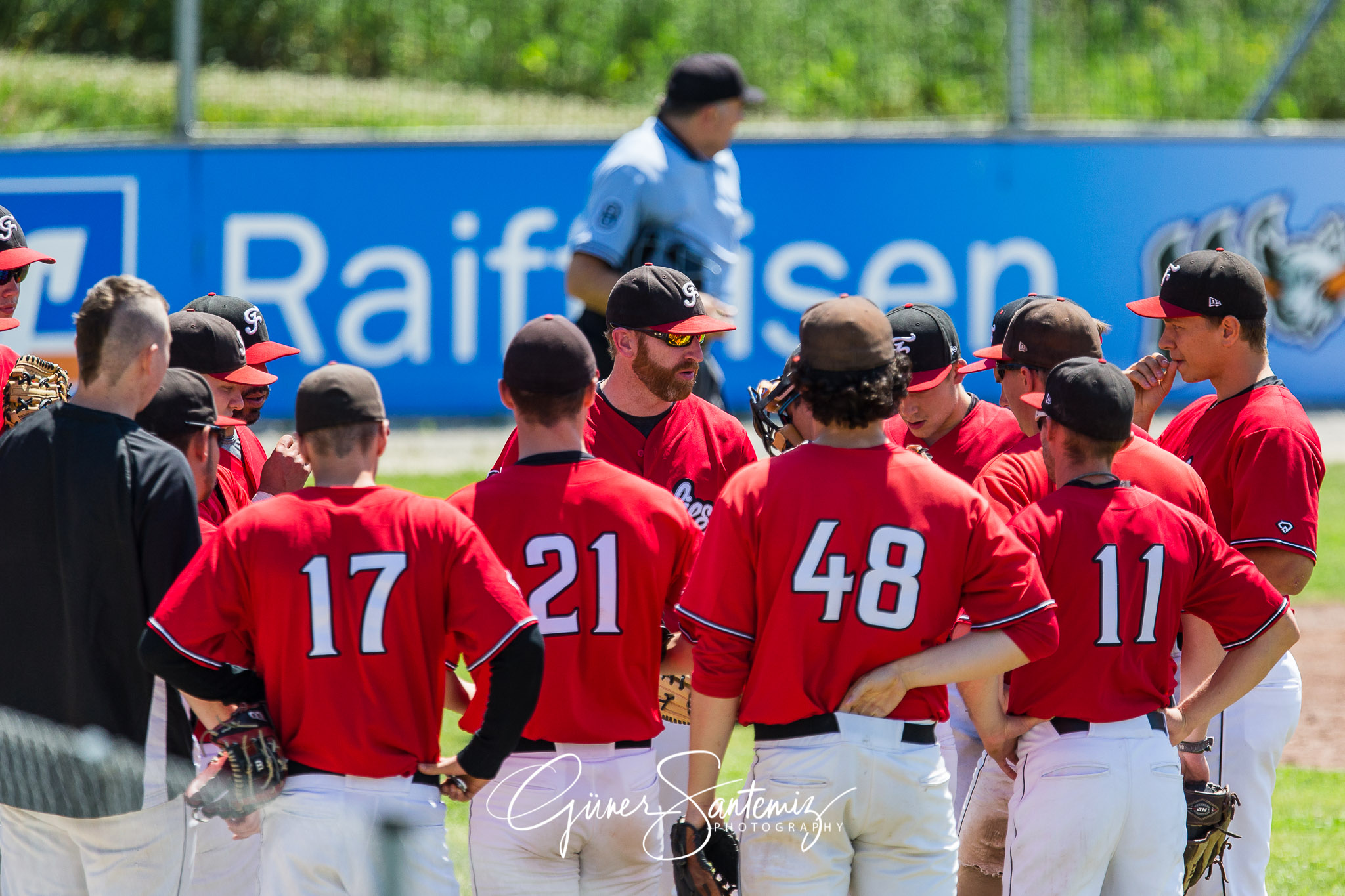 Baseball - Laufer Wölfe - Freising Grizzlies
