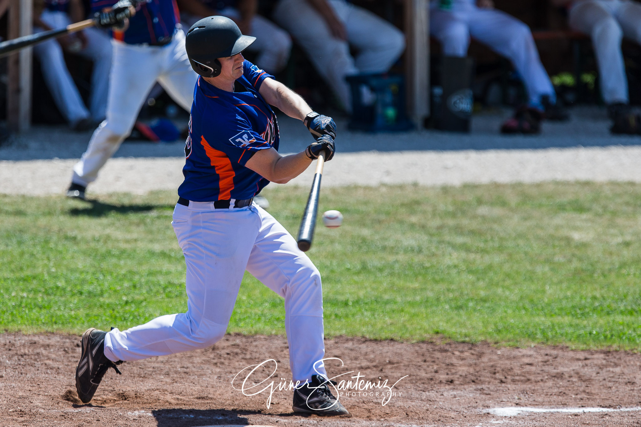 Baseball - Laufer Wölfe - Freising Grizzlies