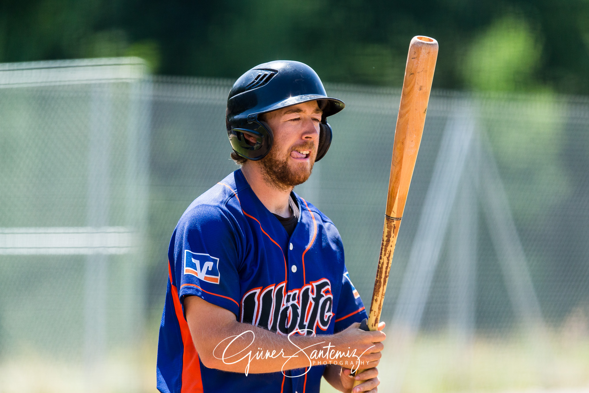 Baseball - Laufer Wölfe - Freising Grizzlies