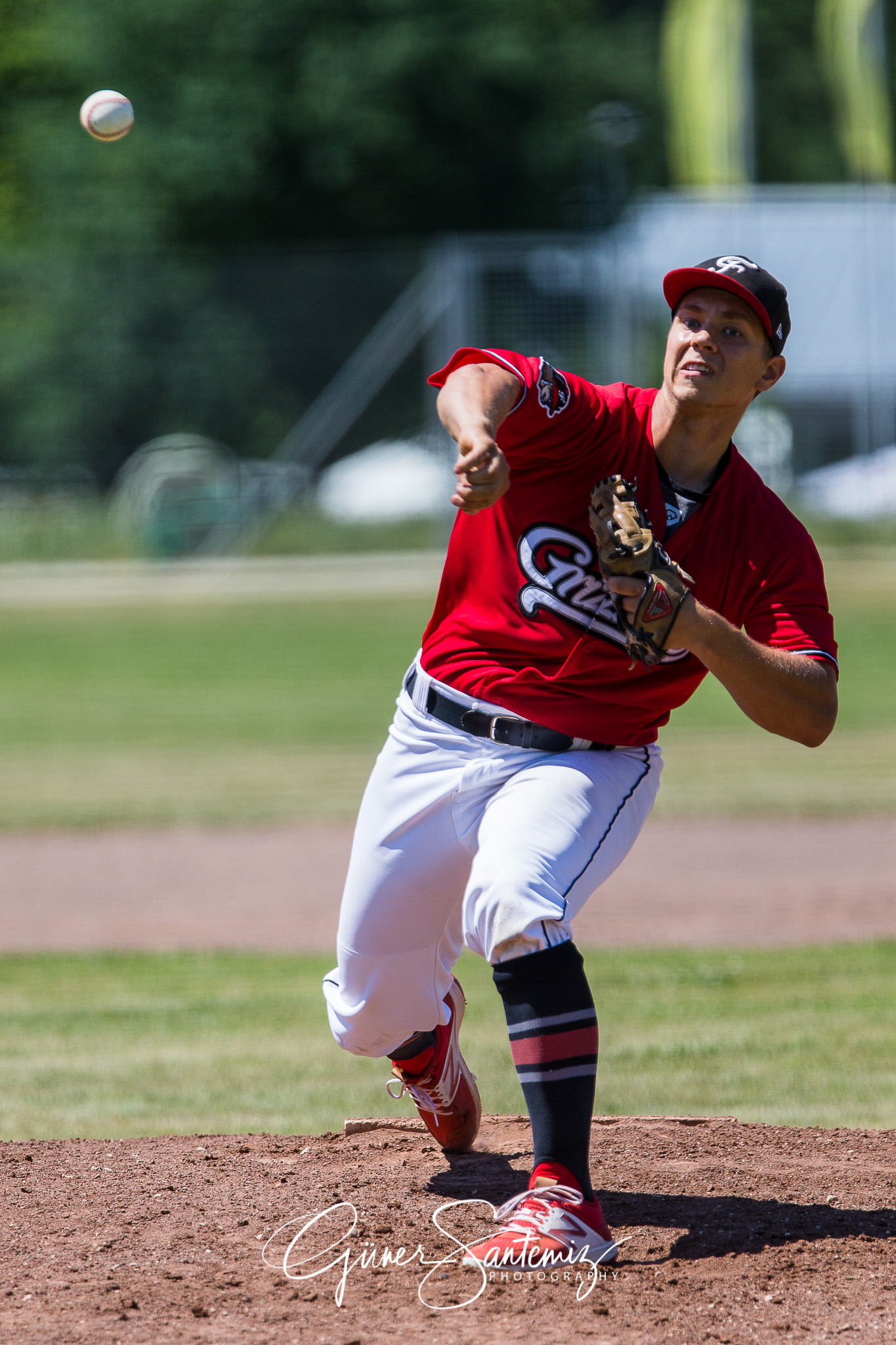 Baseball - Laufer Wölfe - Freising Grizzlies