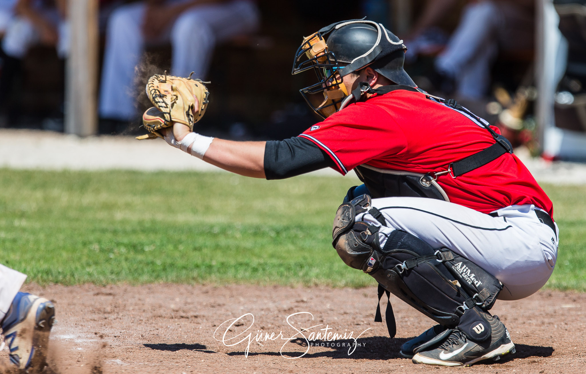 Baseball - Laufer Wölfe - Freising Grizzlies