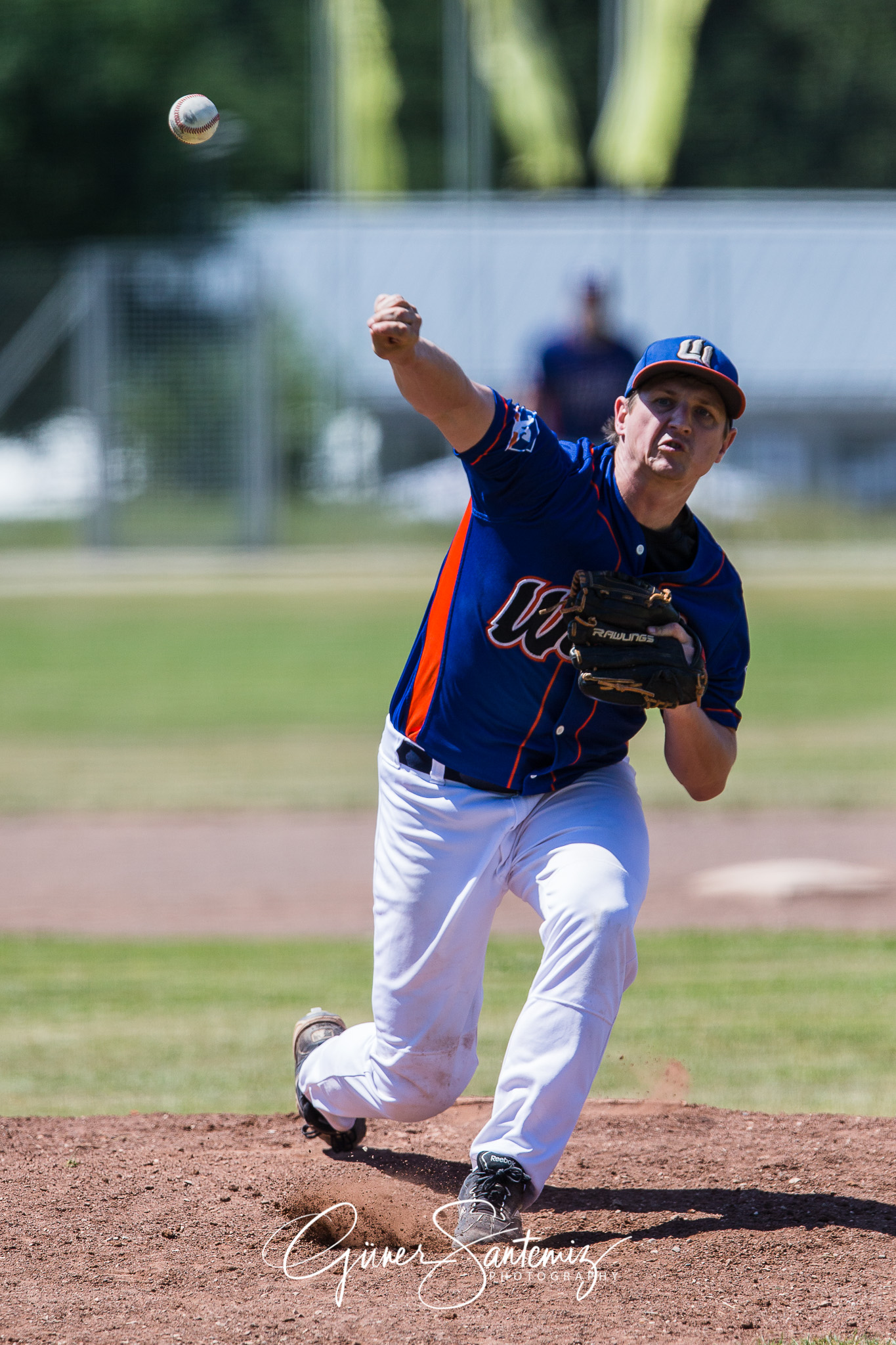 Baseball - Laufer Wölfe - Freising Grizzlies