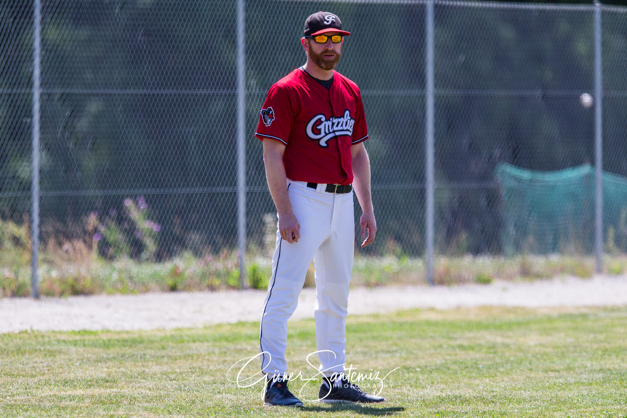 Baseball - Laufer Wölfe - Freising Grizzlies