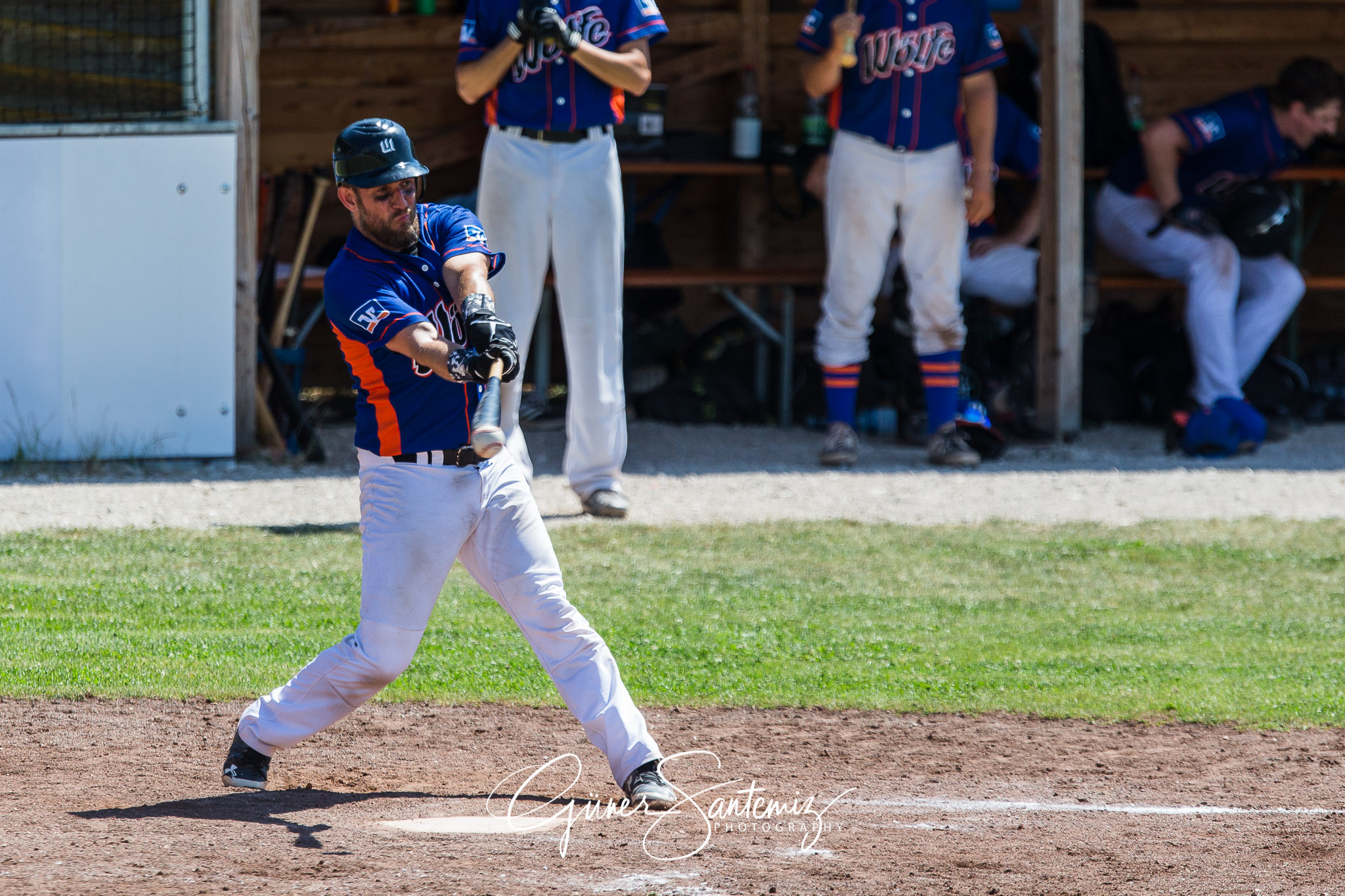 Baseball - Laufer Wölfe - Freising Grizzlies