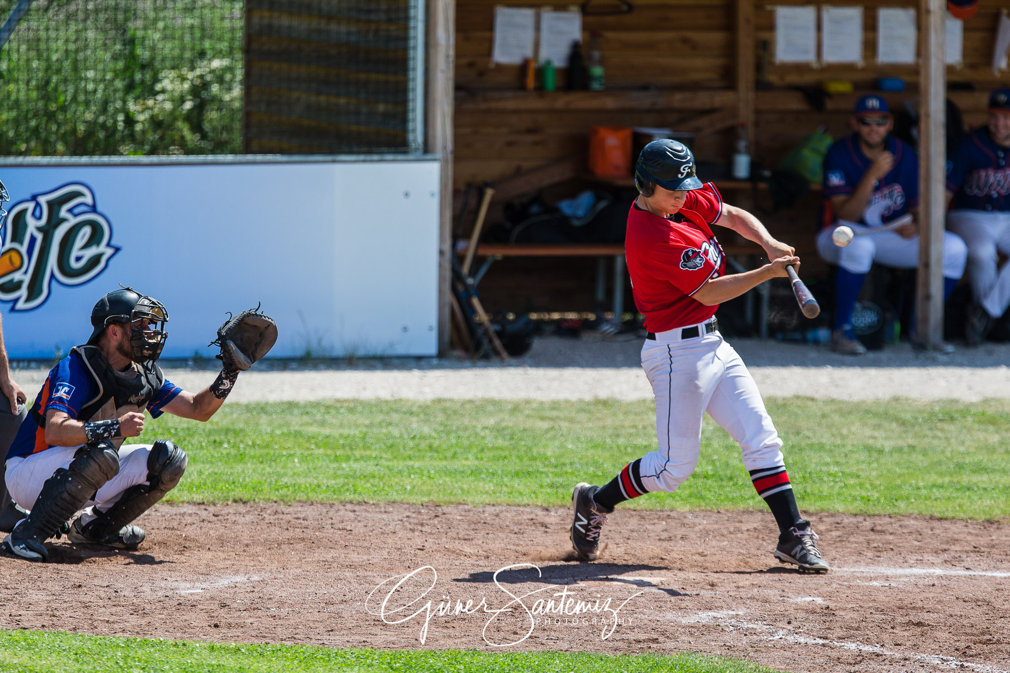 Baseball - Laufer Wölfe - Freising Grizzlies