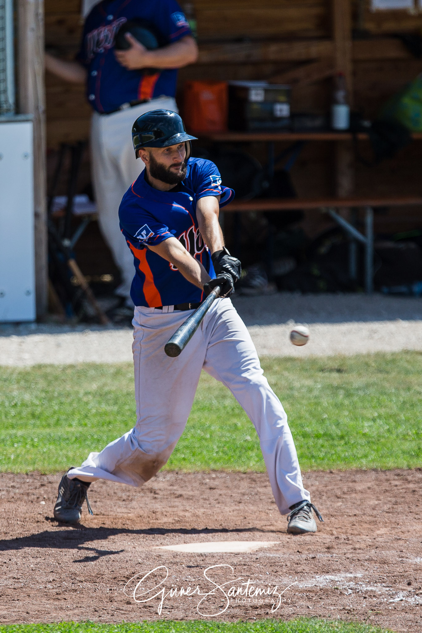 Baseball - Laufer Wölfe - Freising Grizzlies