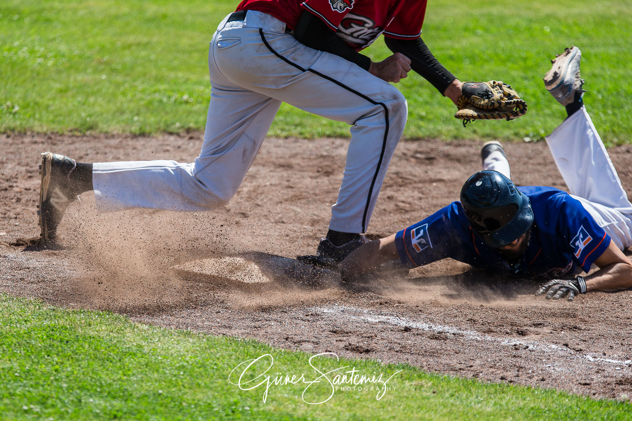 Baseball - Laufer Wölfe - Freising Grizzlies