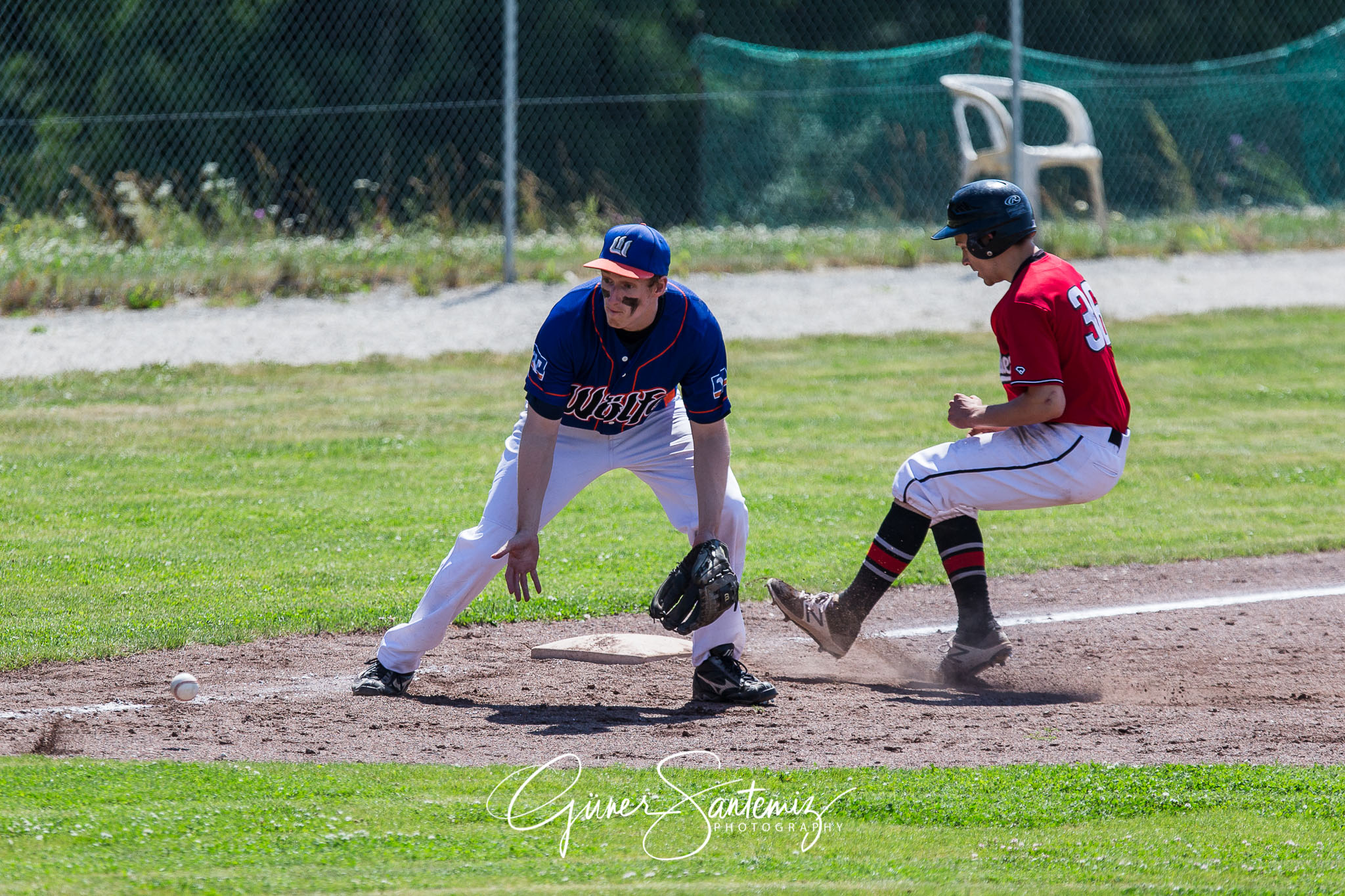 Baseball - Laufer Wölfe - Freising Grizzlies