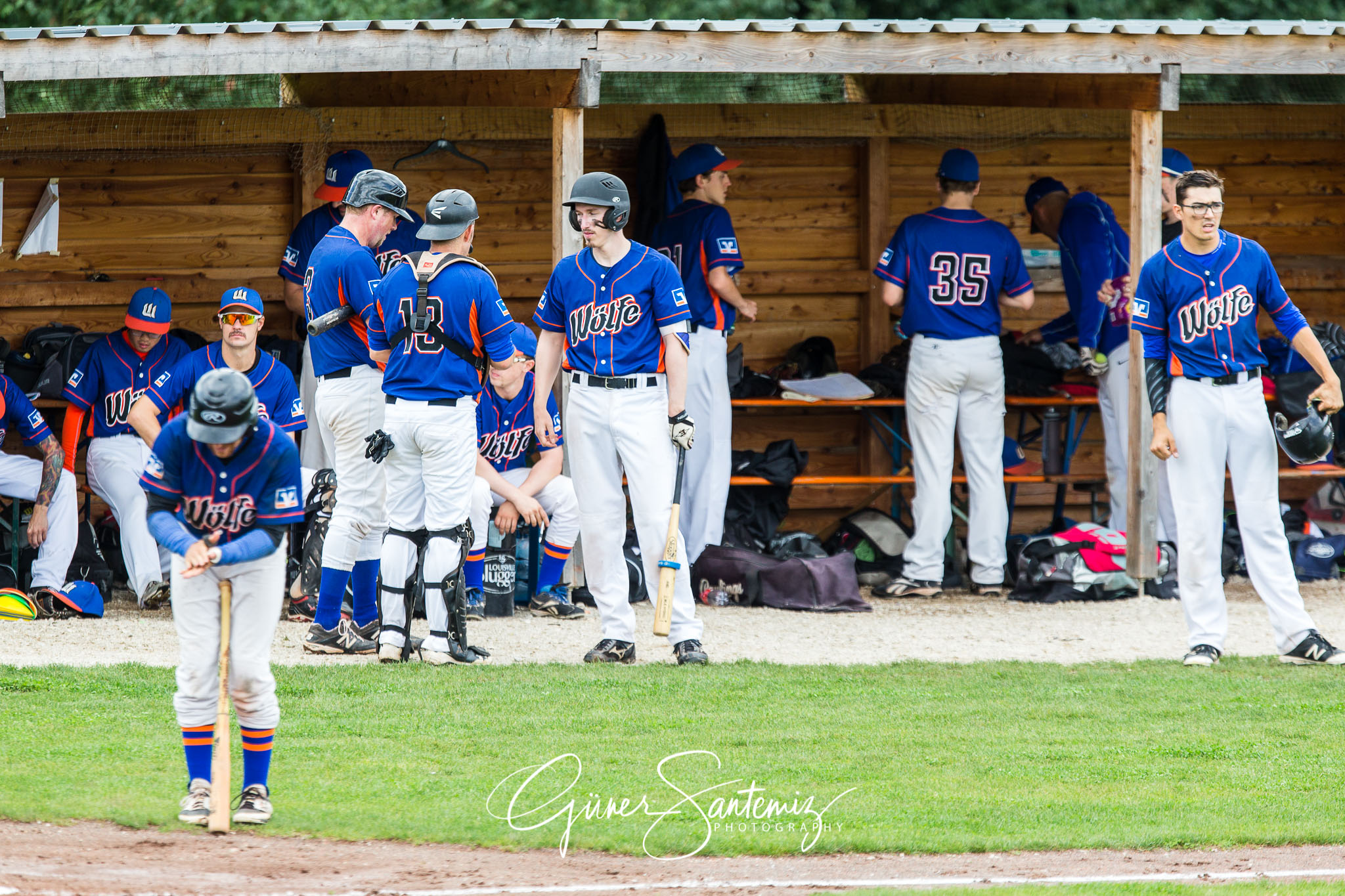 Raiffeisen Wölfe Lauf - Fürth Pirates