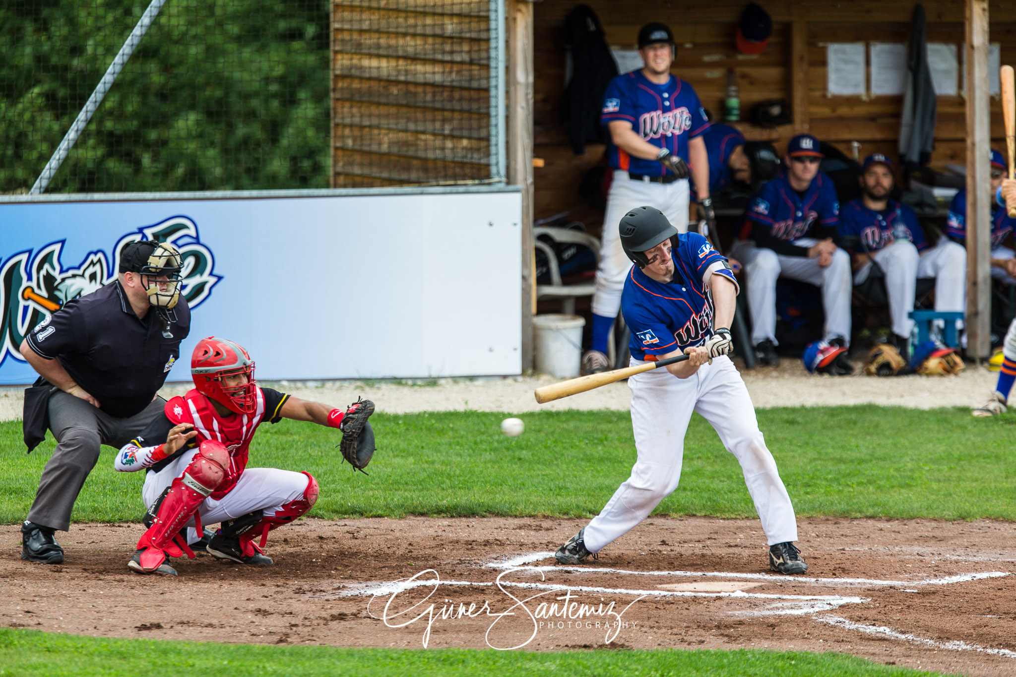 Baseball - Raiffeisen Wölfe Lauf - Fürth Pirates