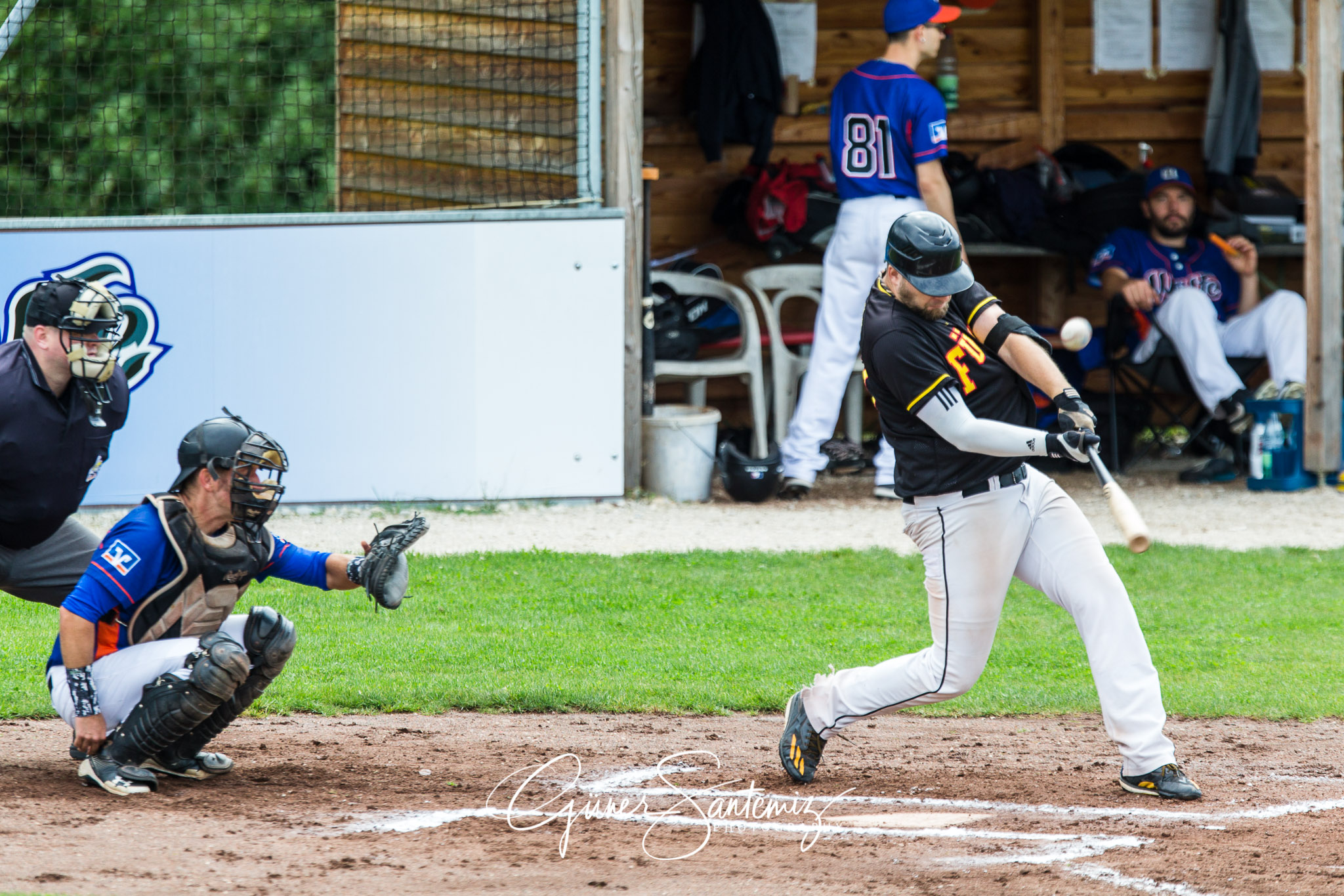 Baseball - Raiffeisen Wölfe Lauf - Fürth Pirates