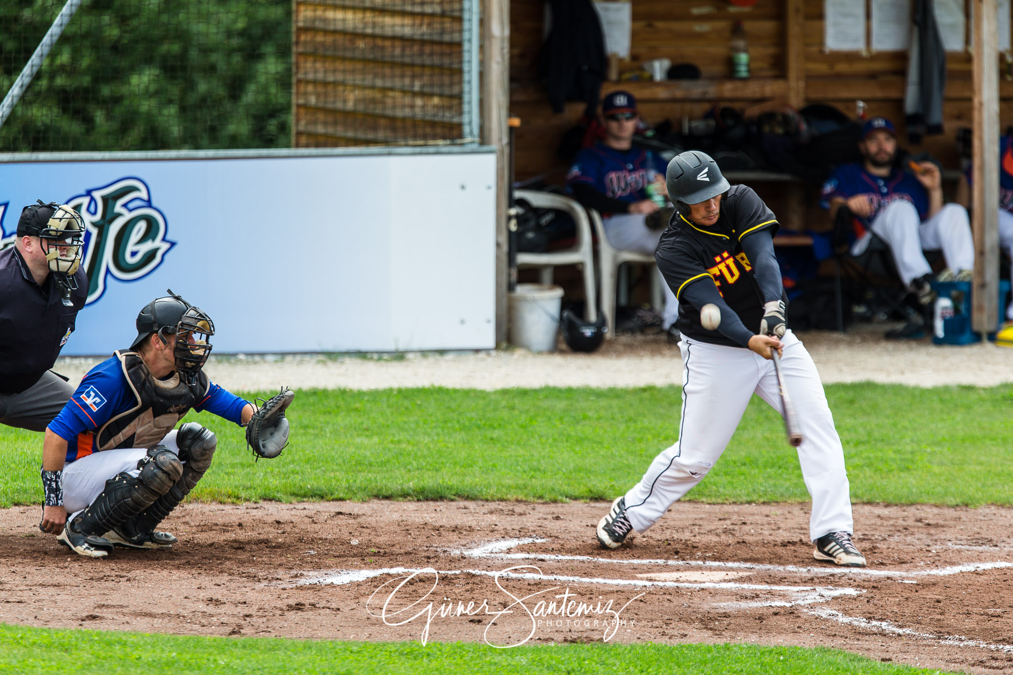 Baseball - Raiffeisen Wölfe Lauf - Fürth Pirates