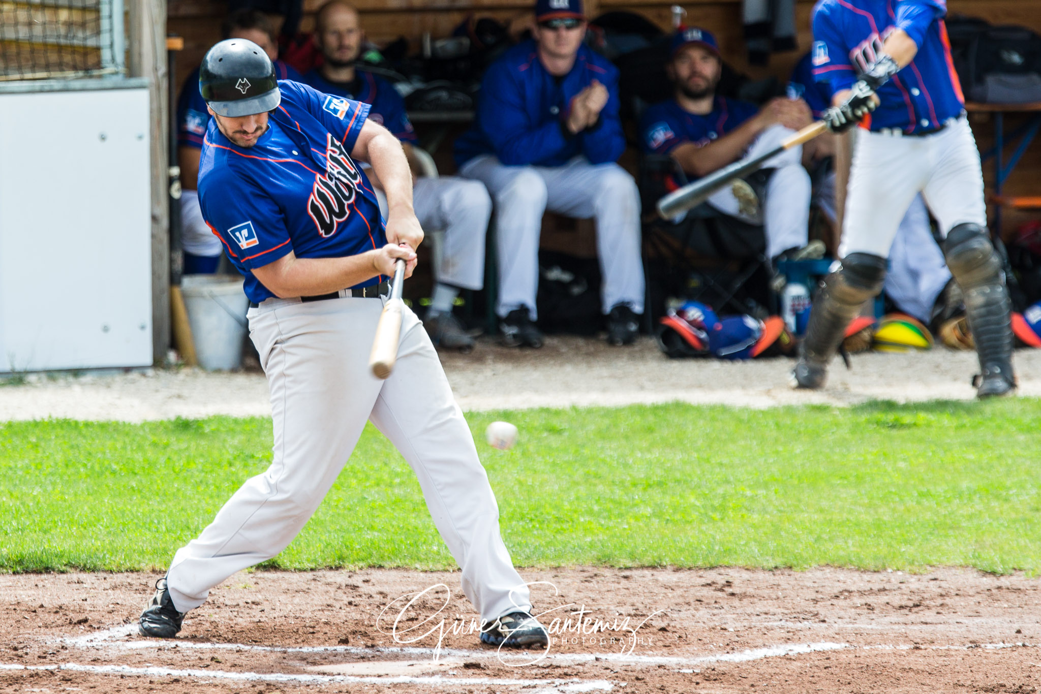 Baseball - Raiffeisen Wölfe Lauf - Fürth Pirates