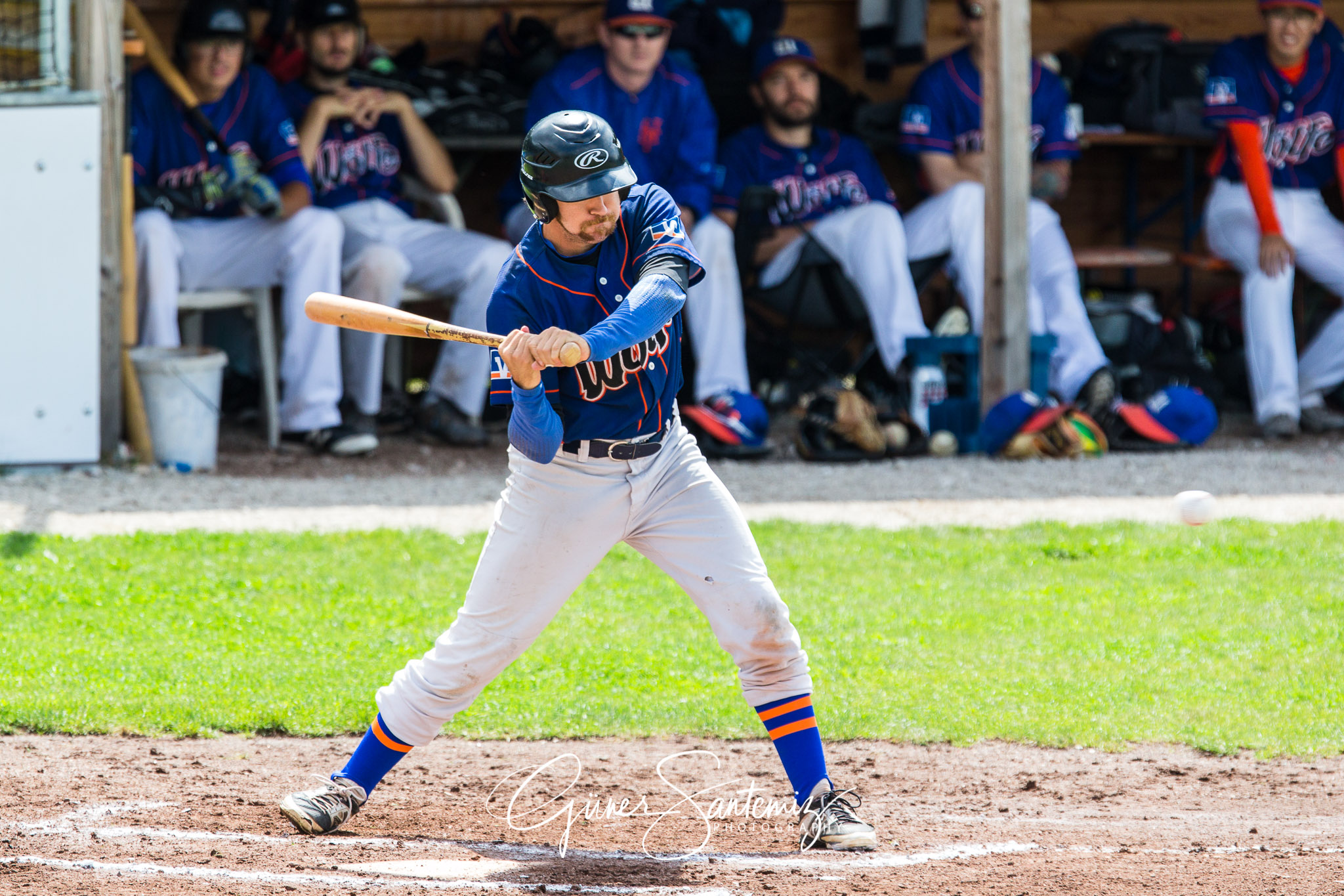 Baseball - Raiffeisen Wölfe Lauf - Fürth Pirates