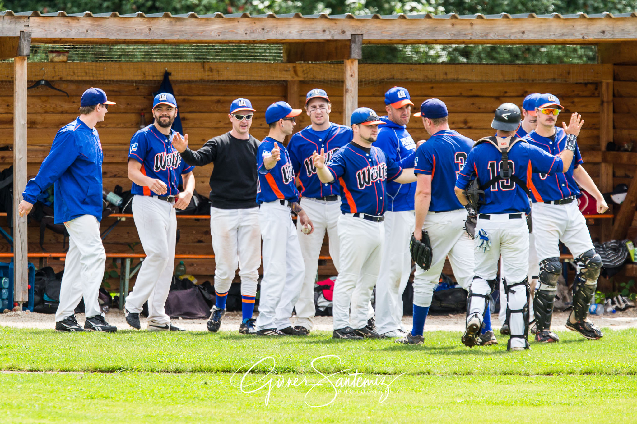 Baseball - Raiffeisen Wölfe Lauf - Fürth Pirates