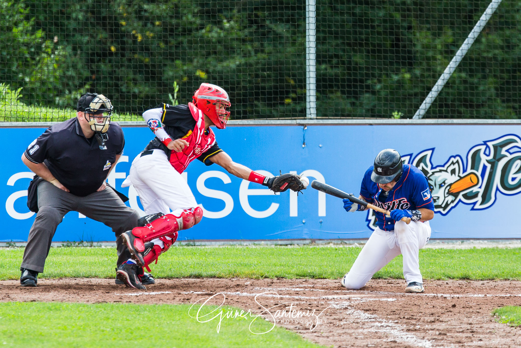 Baseball - Raiffeisen Wölfe Lauf - Fürth Pirates